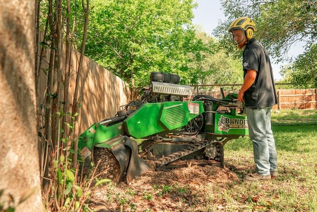 Arborist in Round Rock, TX using a stump grinder