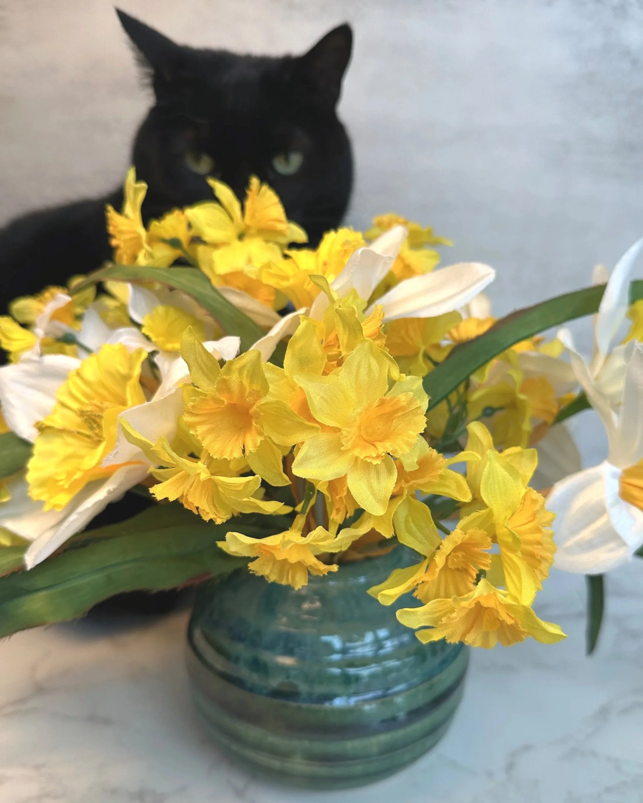 Handmade ceramic vase in ocean blue striated glaze holding yellow daffodils with a black cat in the background