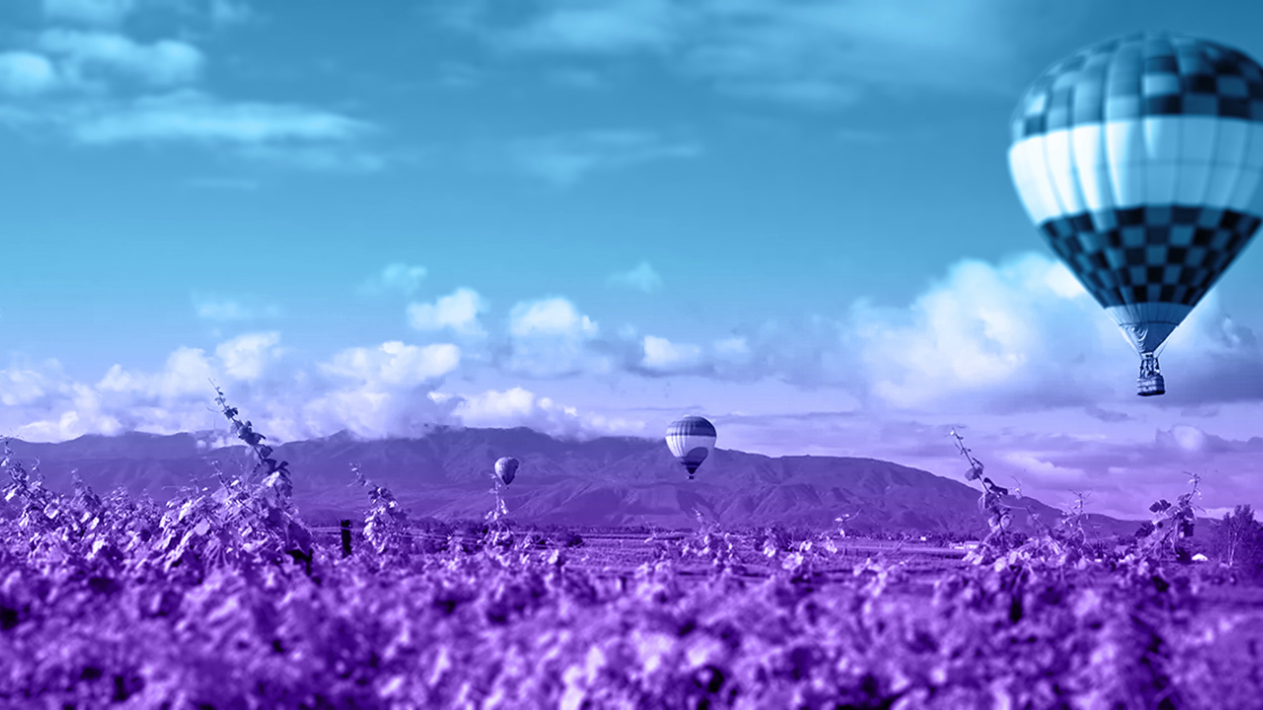 TEMECULA
