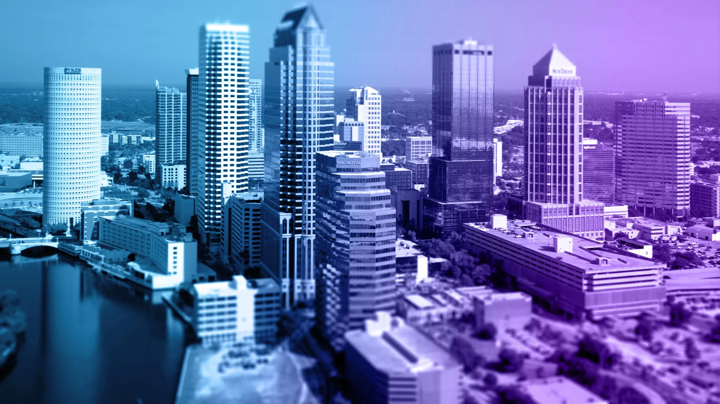 Tampa_no-title.jpg