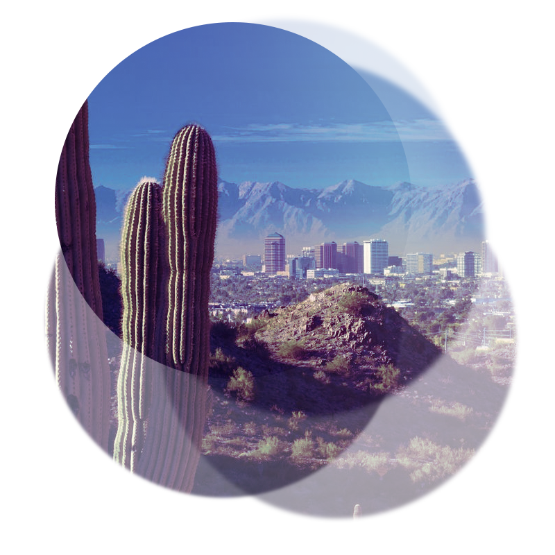 PHOENIX 01