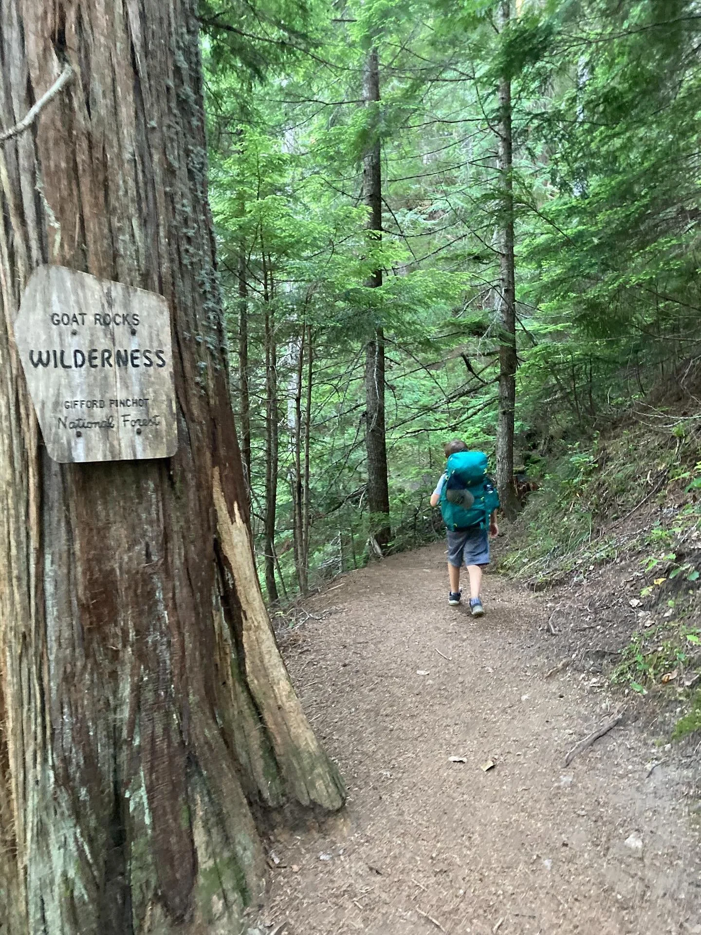 Backpacking trip a few weeks back to Packwood Lake. PNW Living!