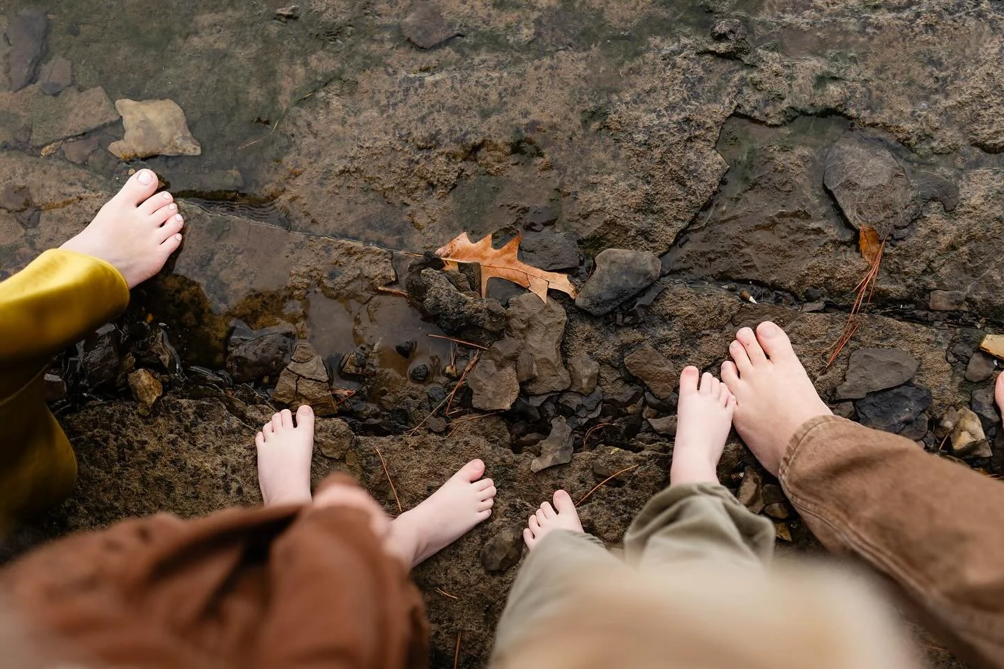 At the heart of Taylor Wright Photography is the belief that every family deserves to have high quality photographs to cherish forever regardless of income or ability to pay. If you know a family who is going through a difficult time, whether it&rsqu