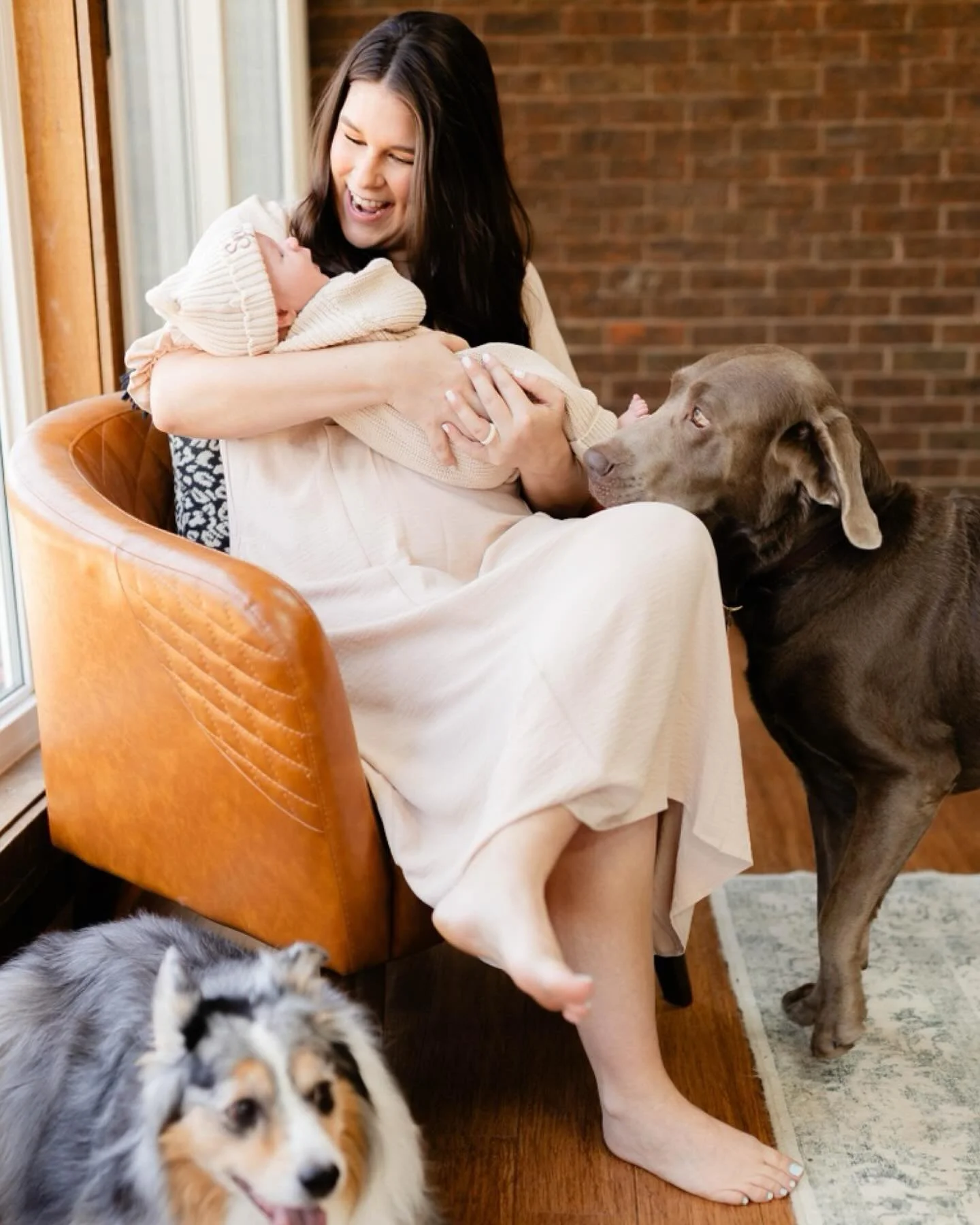 Oh how I love newborn sessions! Especially when the whole family gets involved!🐶🐾