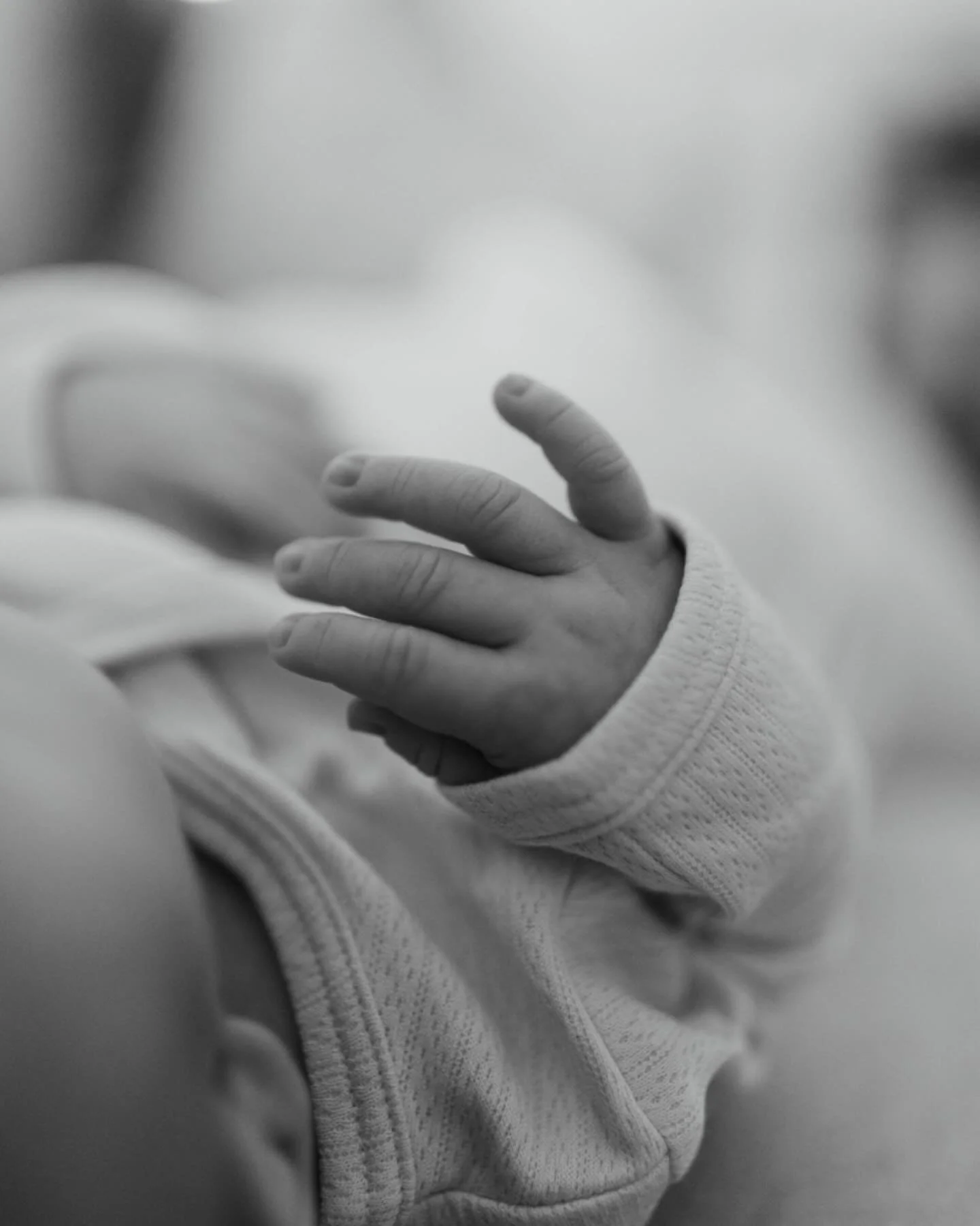 A newborn preview on this beautiful sunny Saturday!☀️