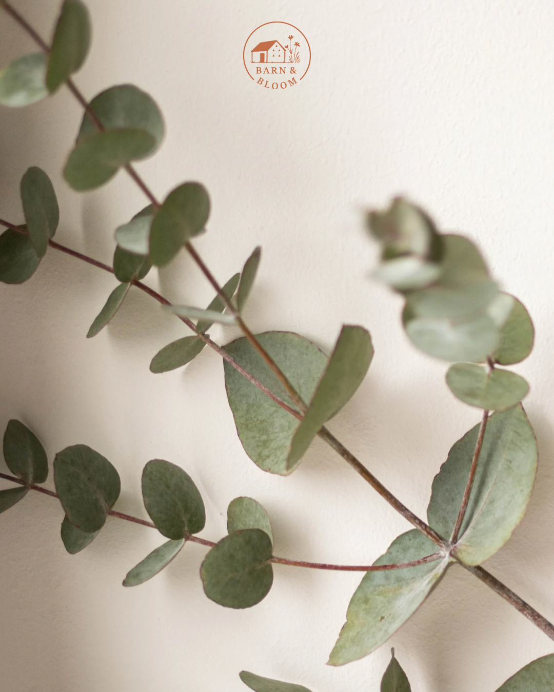 Gift Card: Bunch of Eucalyptus