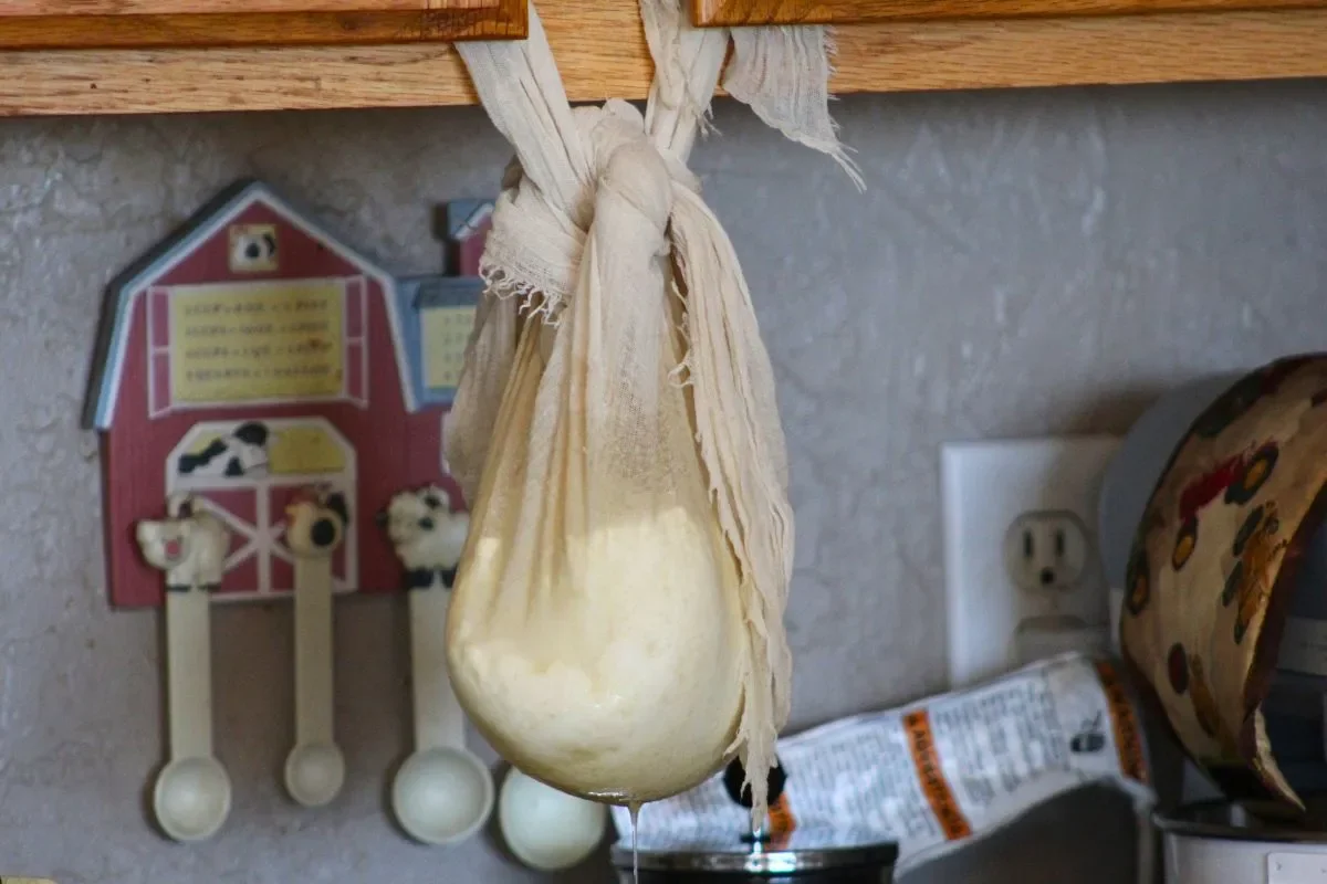 Sheep-Milk-Feta-hanging.jpg.webp