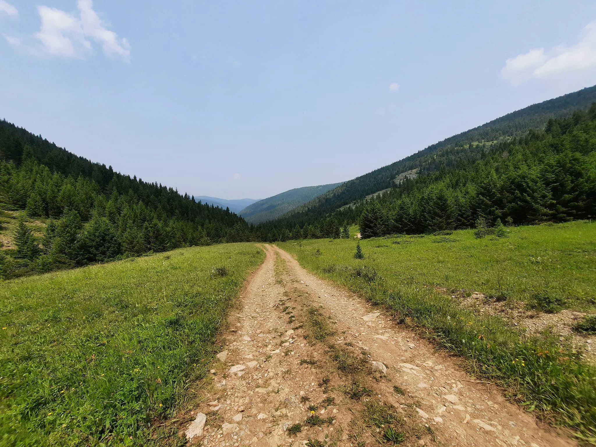 a dirt road disappearing into the little belt mountains
