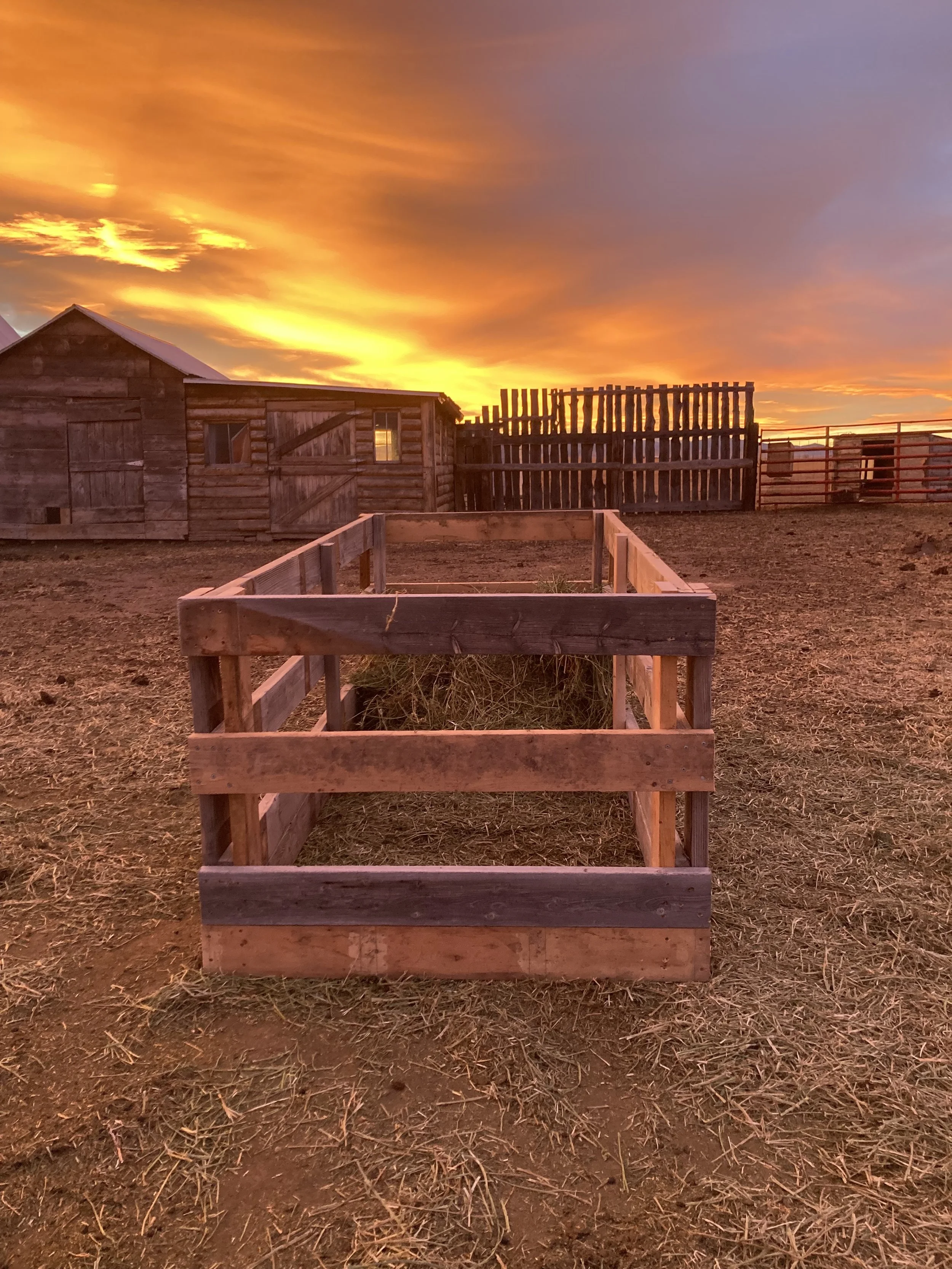 a diy sheep hay feeder in a corral with a beautiful orange sunset