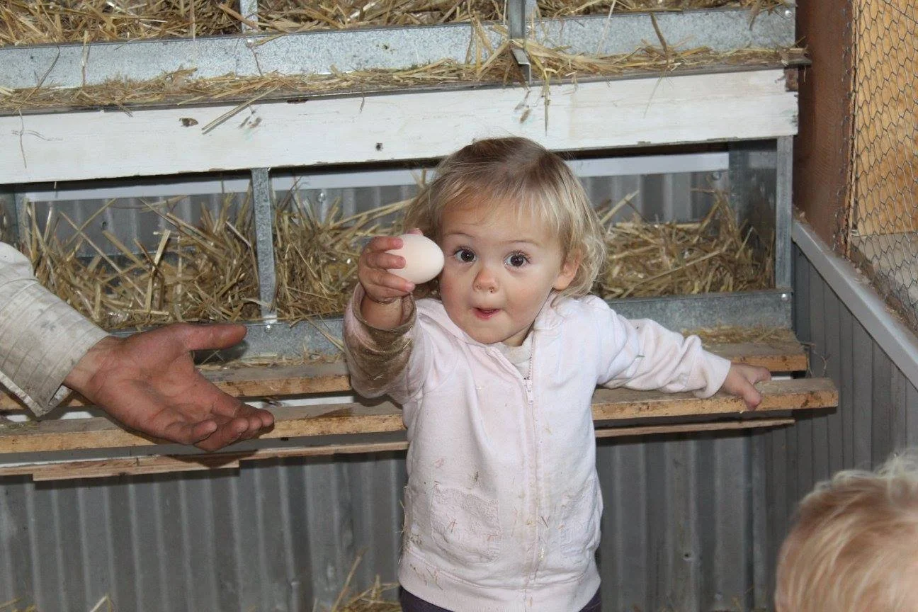 A young girl holds out an egg she collected with a very excited look on her face