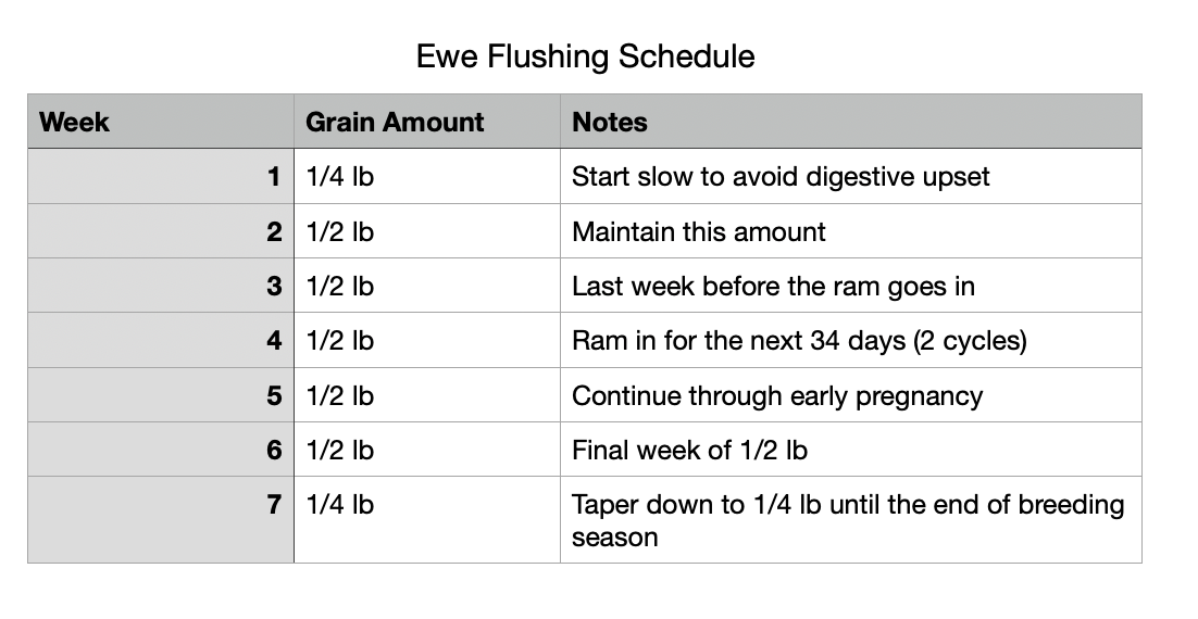A chart for a ewe flushing schedule showing how much to feed for flushing over 7 weeks
