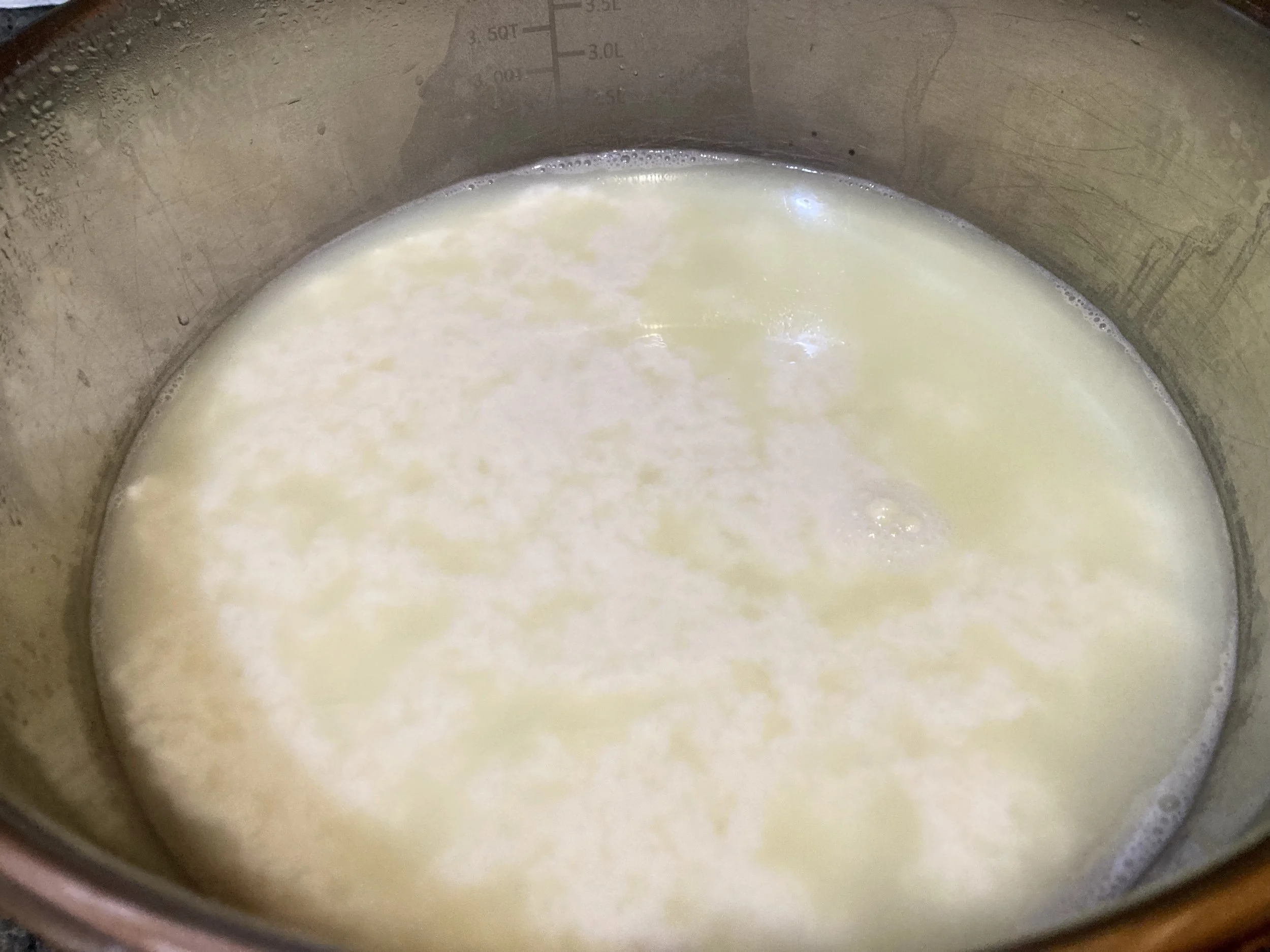 ricotta curds float to the surface of whey