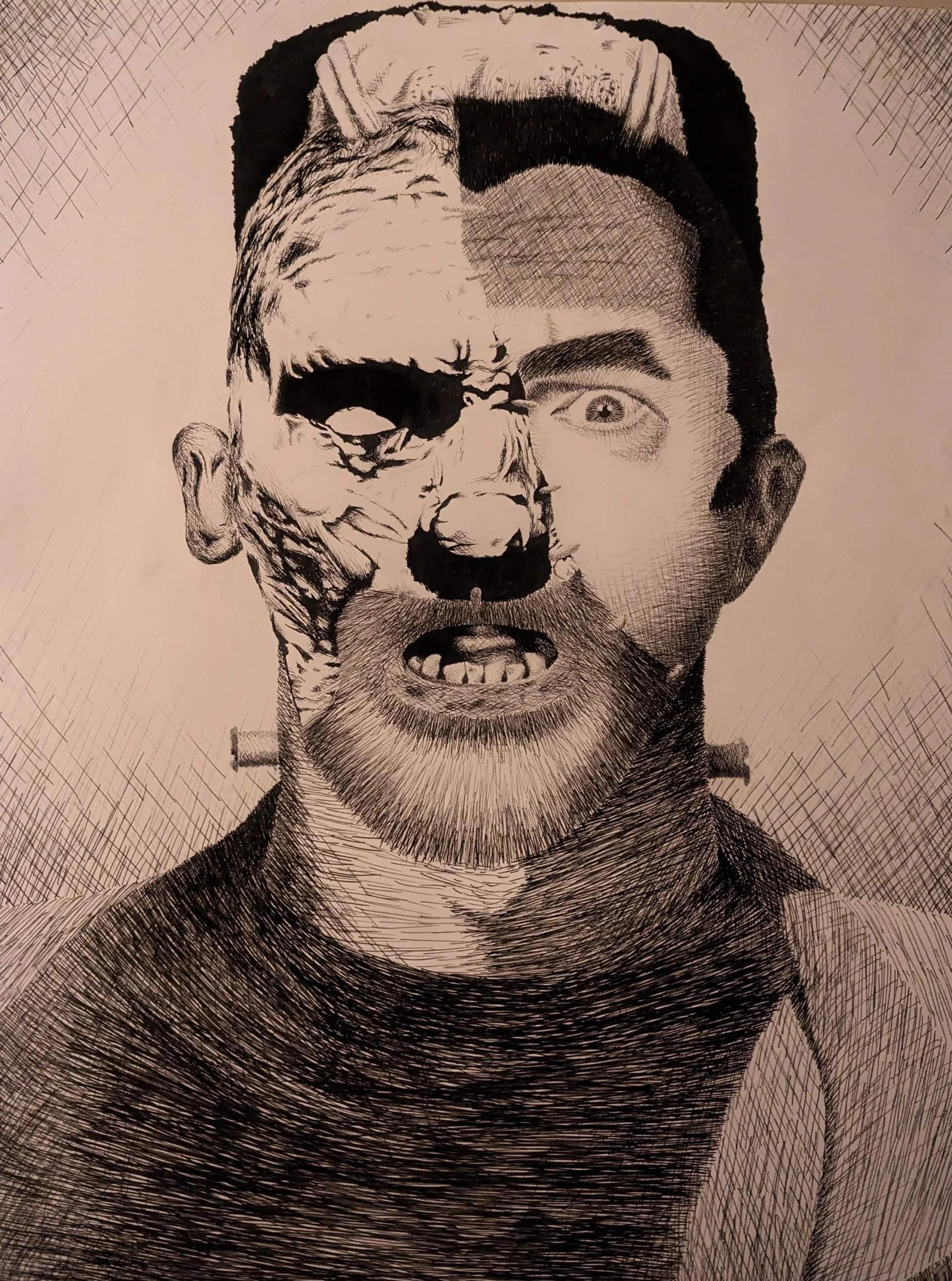 Medium: Pen on paper. Collage of the classic Universal Monsters with technical detail.