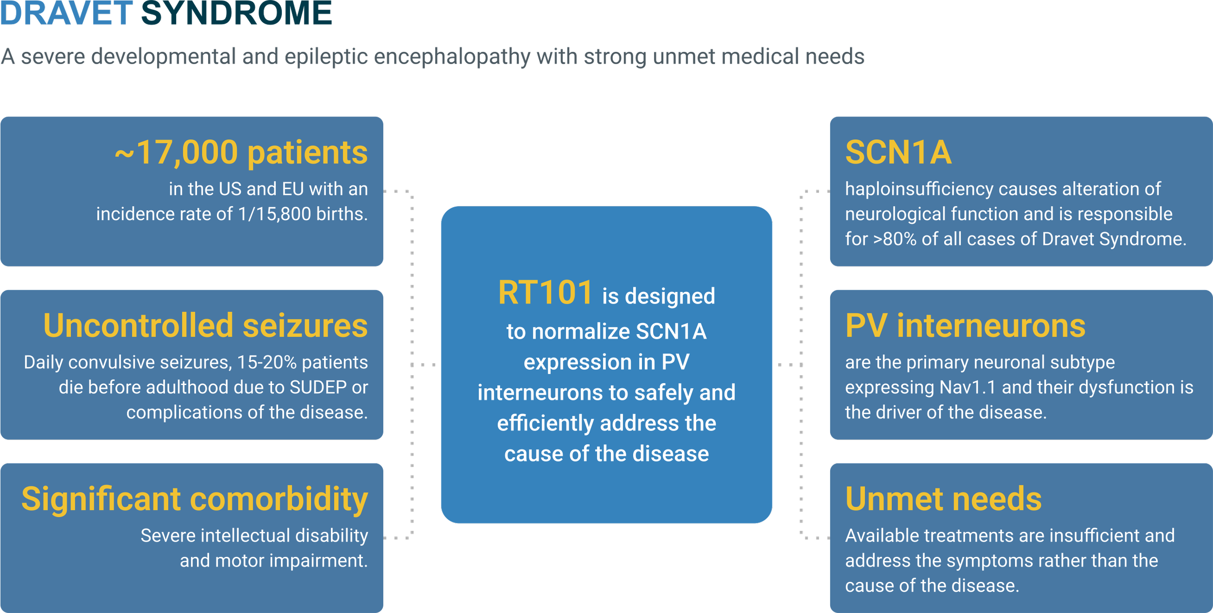RT101 Dravet Schematic