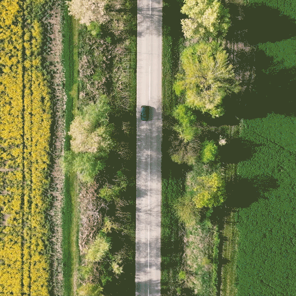 RowanUniversity_600.gif