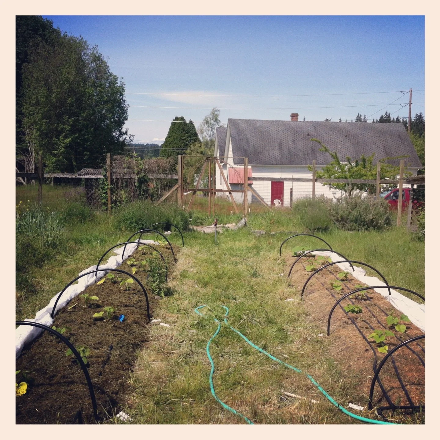 An update from the Bayview Garden