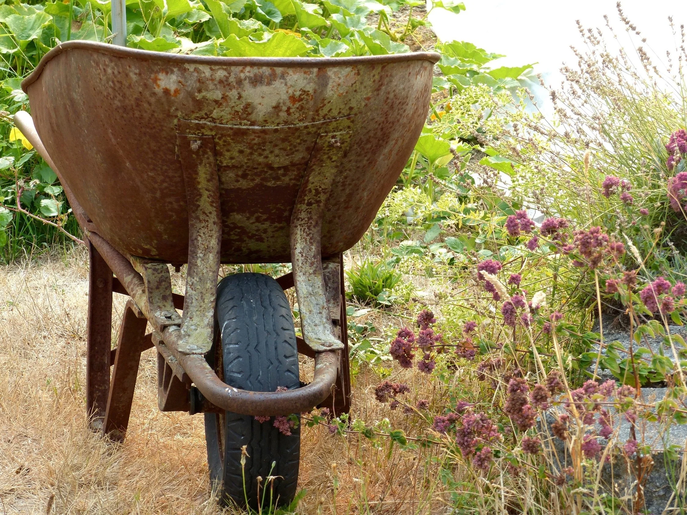 Bayview Garden Update and Fall Work Party!