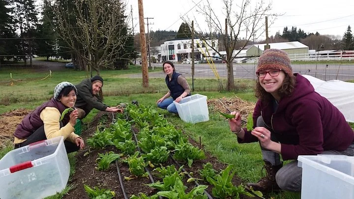 apprentices-and-spinach.jpg