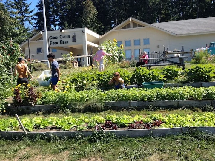 harvest-time.jpg