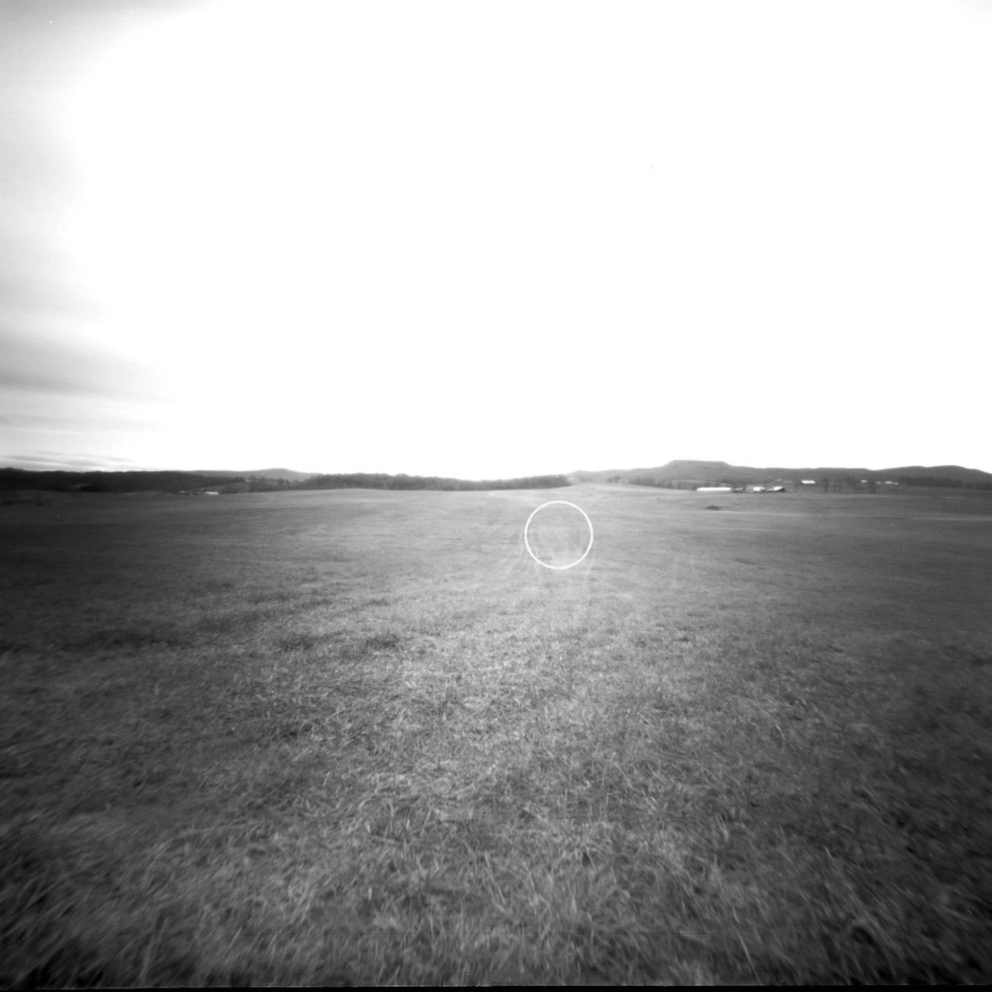 01_WV_horizon field circle.jpg