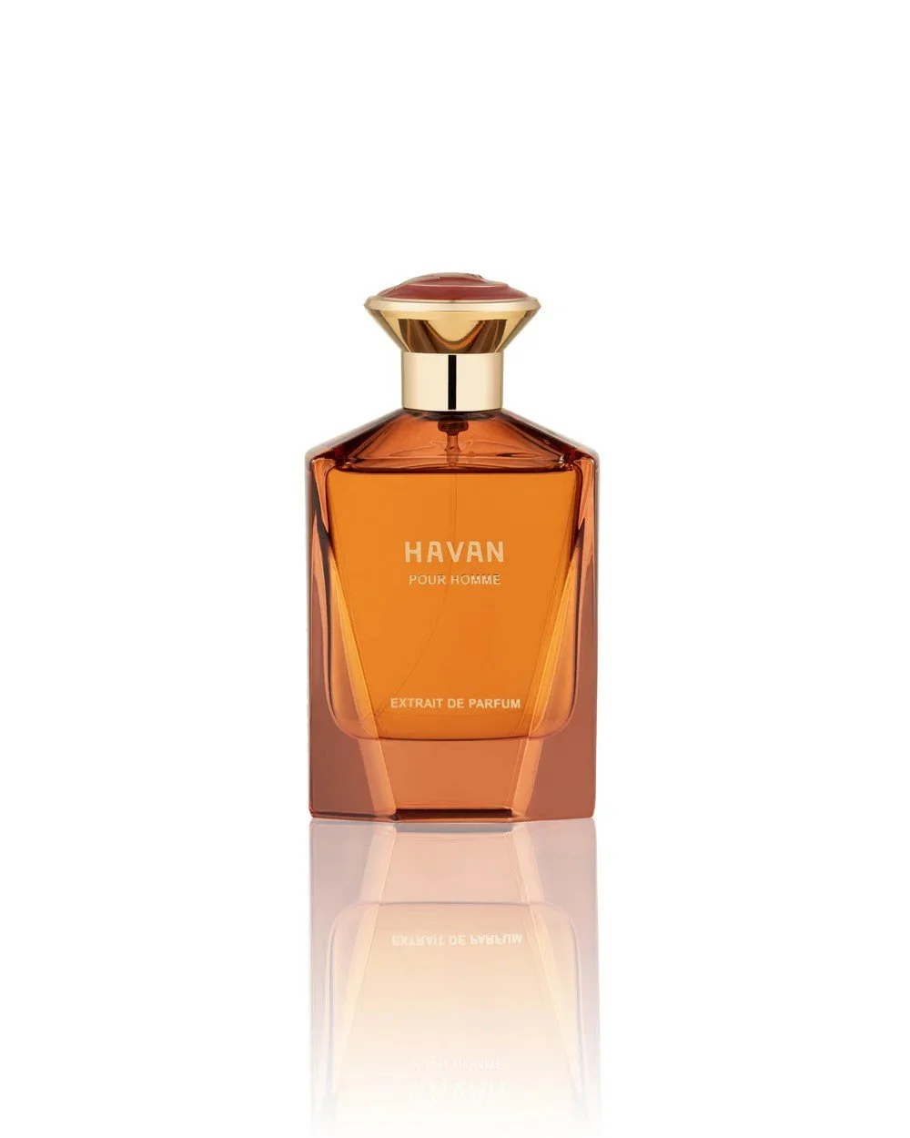 HAVAN1.jpg