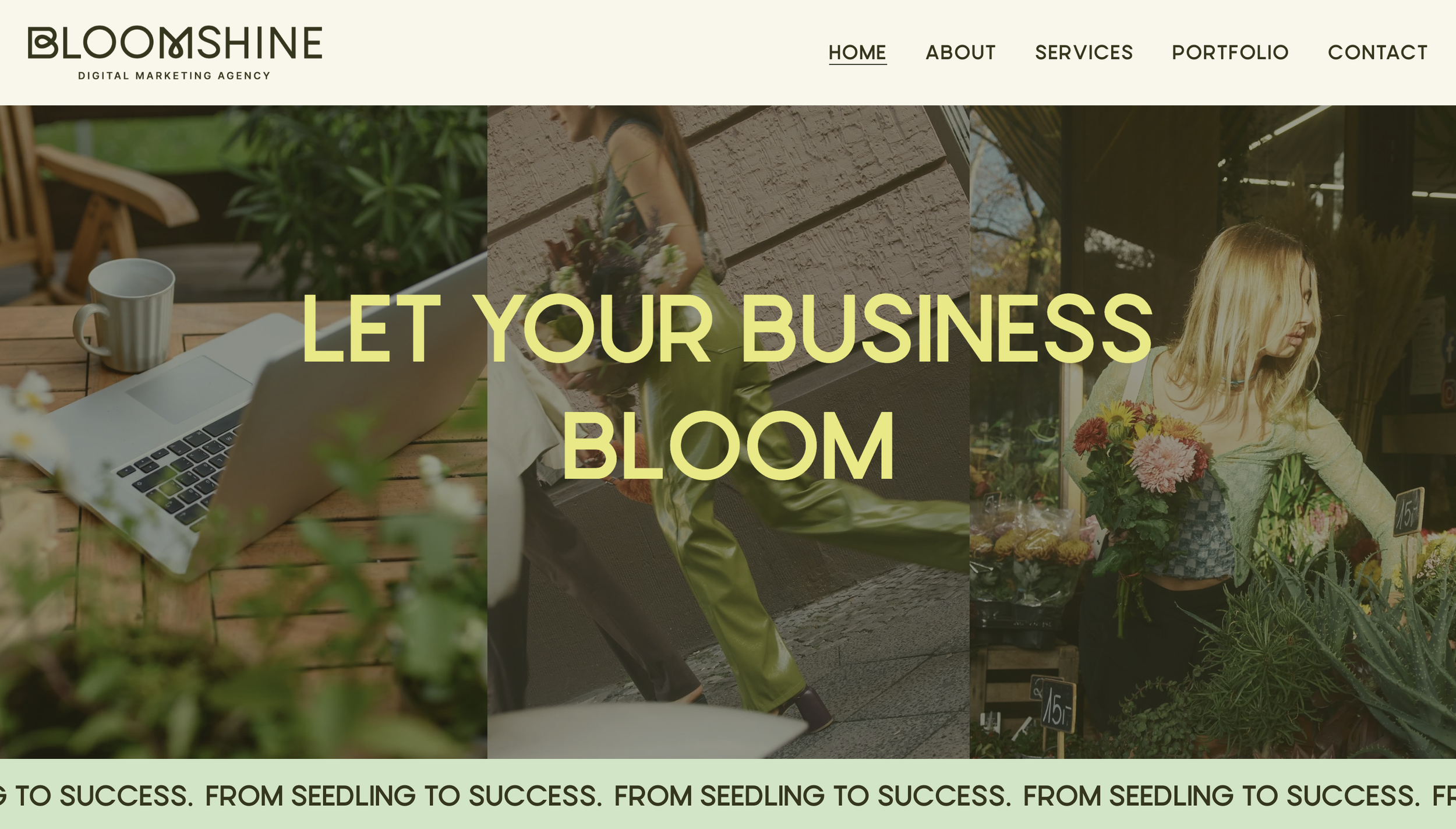 Bloomshine Media - Marketing Agency