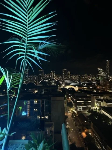 Brisbane at night Medium.jpeg