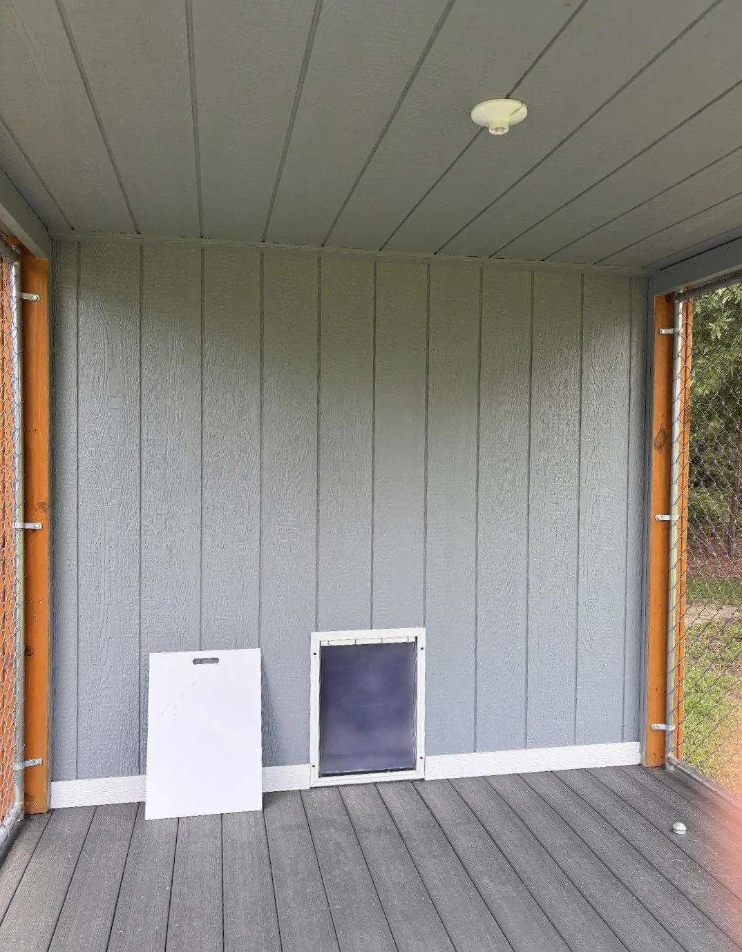 Front view of gray dog kennel shed with white trim and door, built by Speedy Sheds.