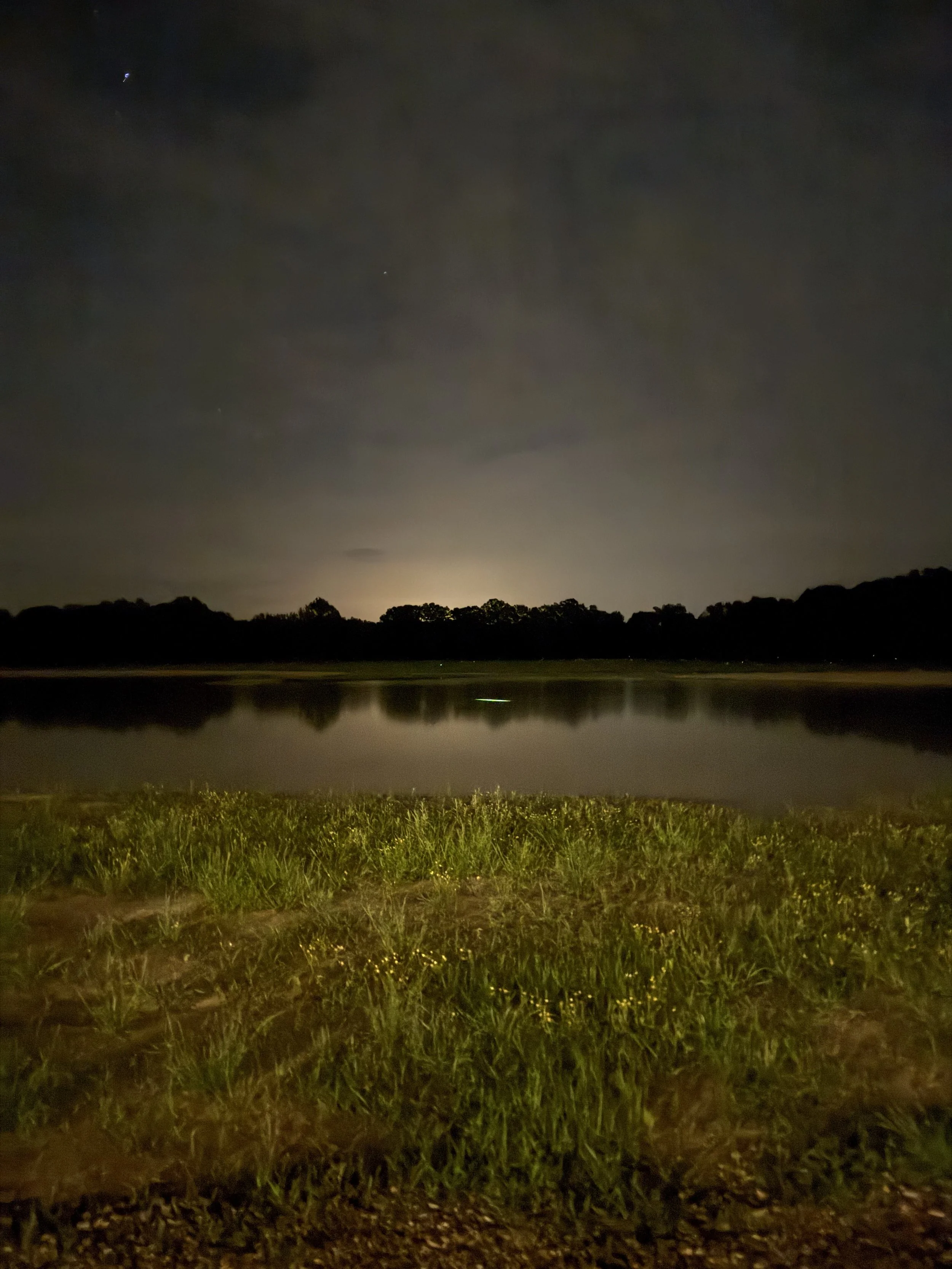 Nighttime landscape featuring a body of water reflecting the dark sky and a line of trees in the distance, with some stars visible in the sky and illuminated grass in the foreground.