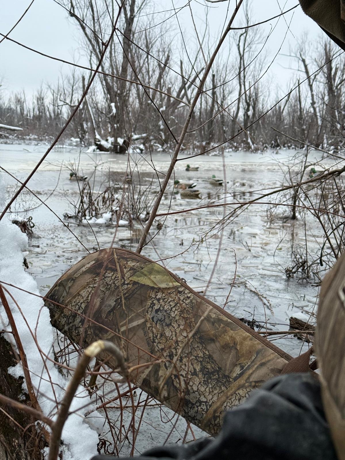 A winter scene of a river with floating ducks, leafless trees on the riverbank, and snow on the ground and branches, viewed from a low angle near the snow.