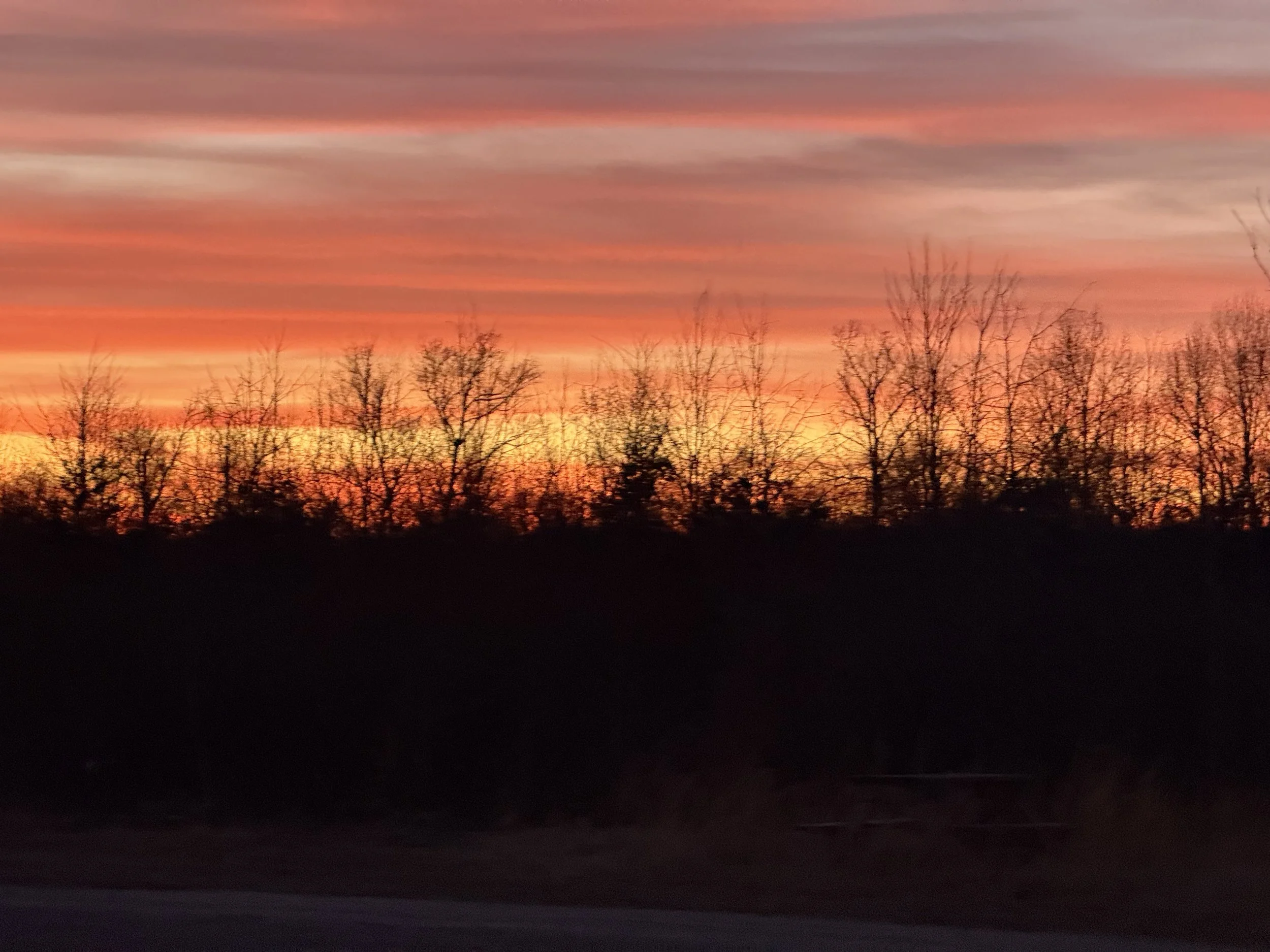 A sunset with colorful orange, pink, and purple streaks in the sky above leafless trees on the horizon.