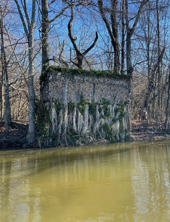 An old, weathered concrete structure with moss and plant growth, partially submerged at the edge of a river with leafless trees in the background.