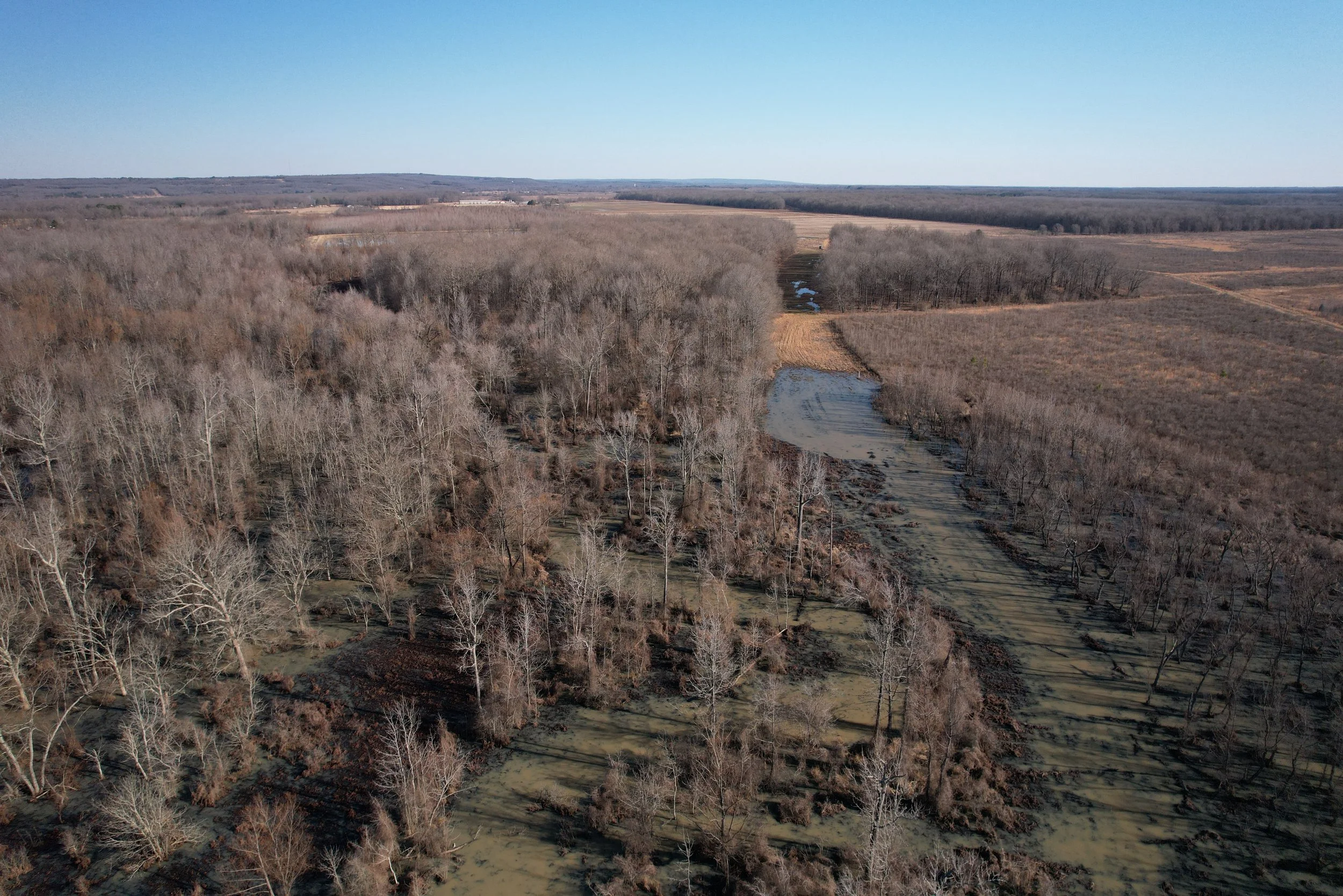 Aerial view of a river flowing through a forested landscape with leafless trees and open fields under a clear blue sky.