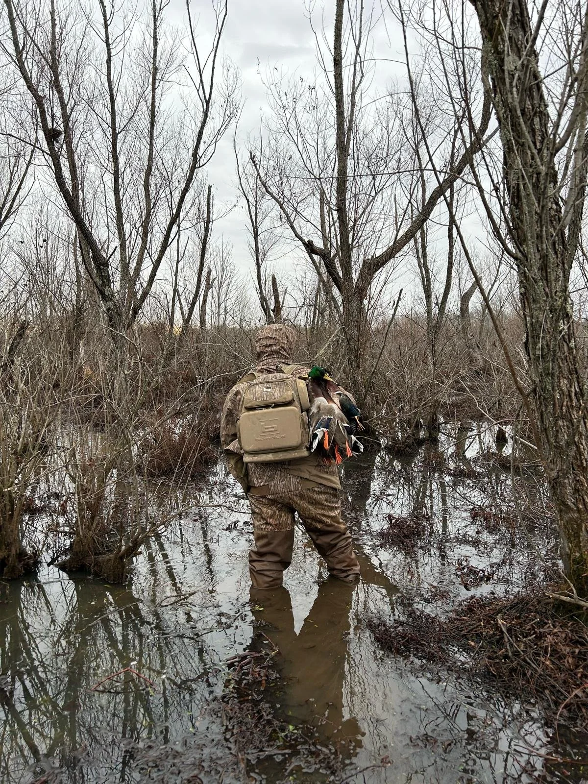 A person wearing camouflage gear and carrying a backpack wades through a flooded, leafless forest during winter or early spring.