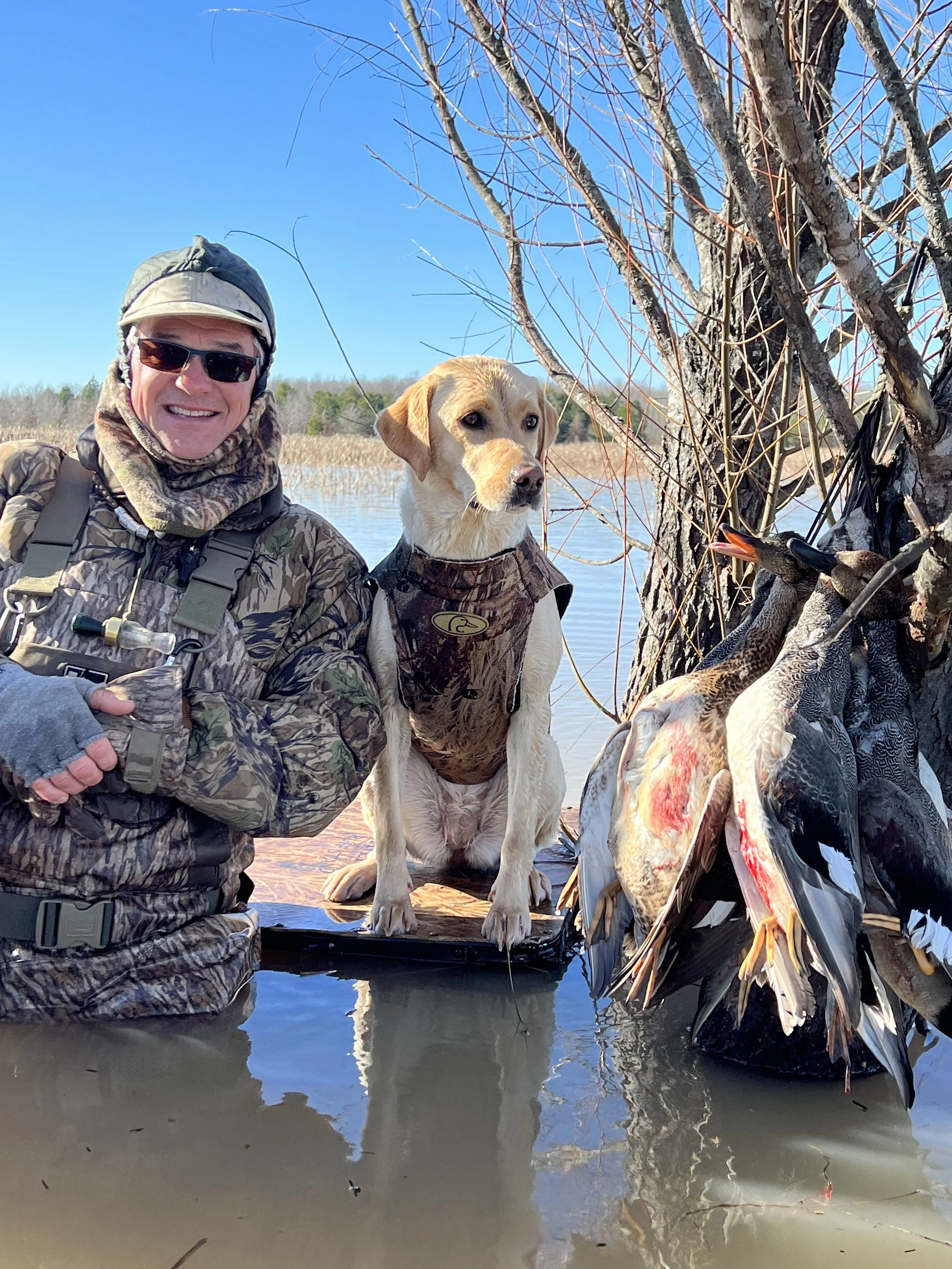 A man wearing camouflage clothing and sunglasses is kneeling in water next to a hunting dog. They are posing with a pile of ducks caught during a hunt near a tree by a body of water on a sunny day.