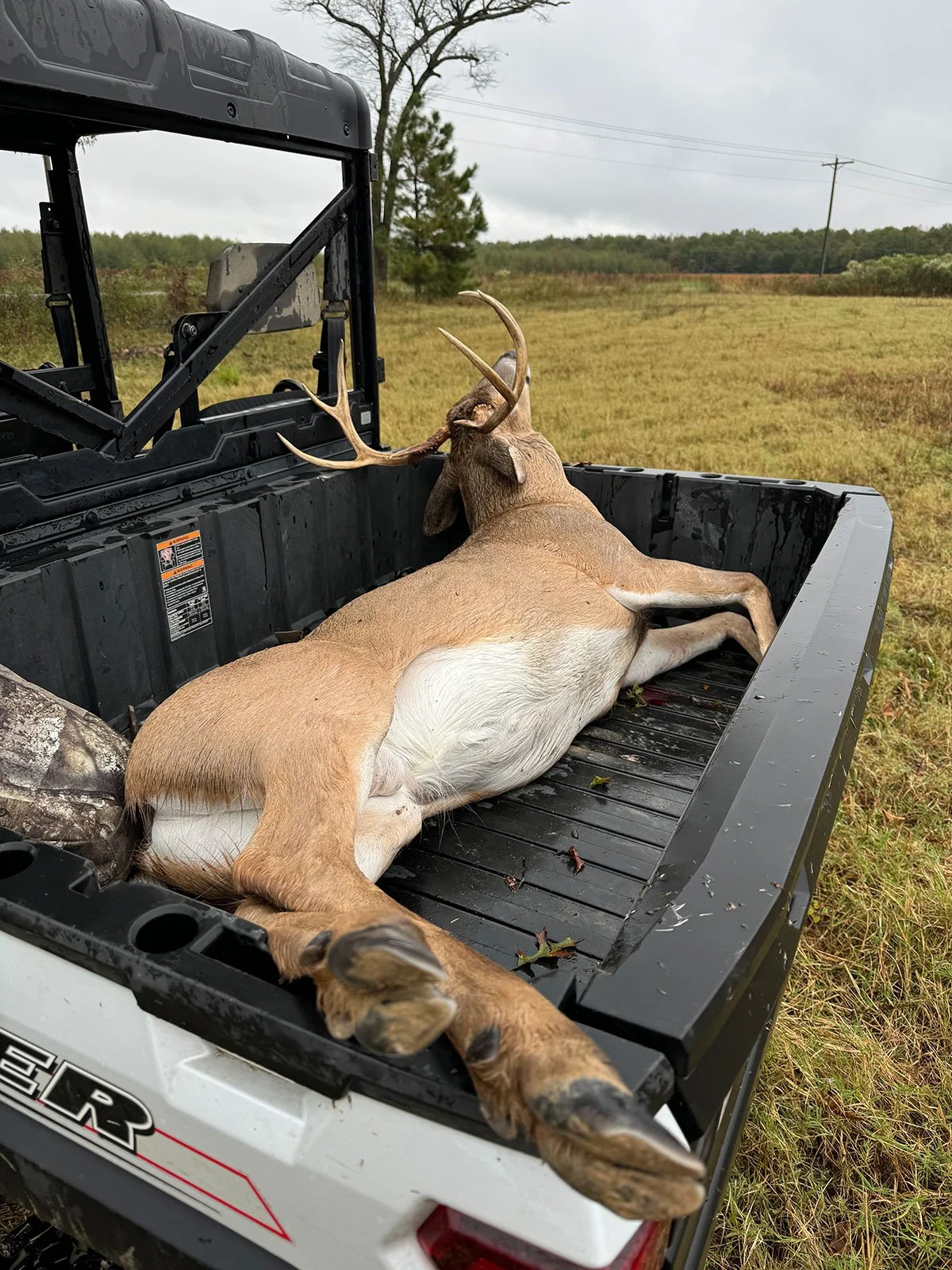 A dead deer with antlers lies in the bed of a utility vehicle in an open field.