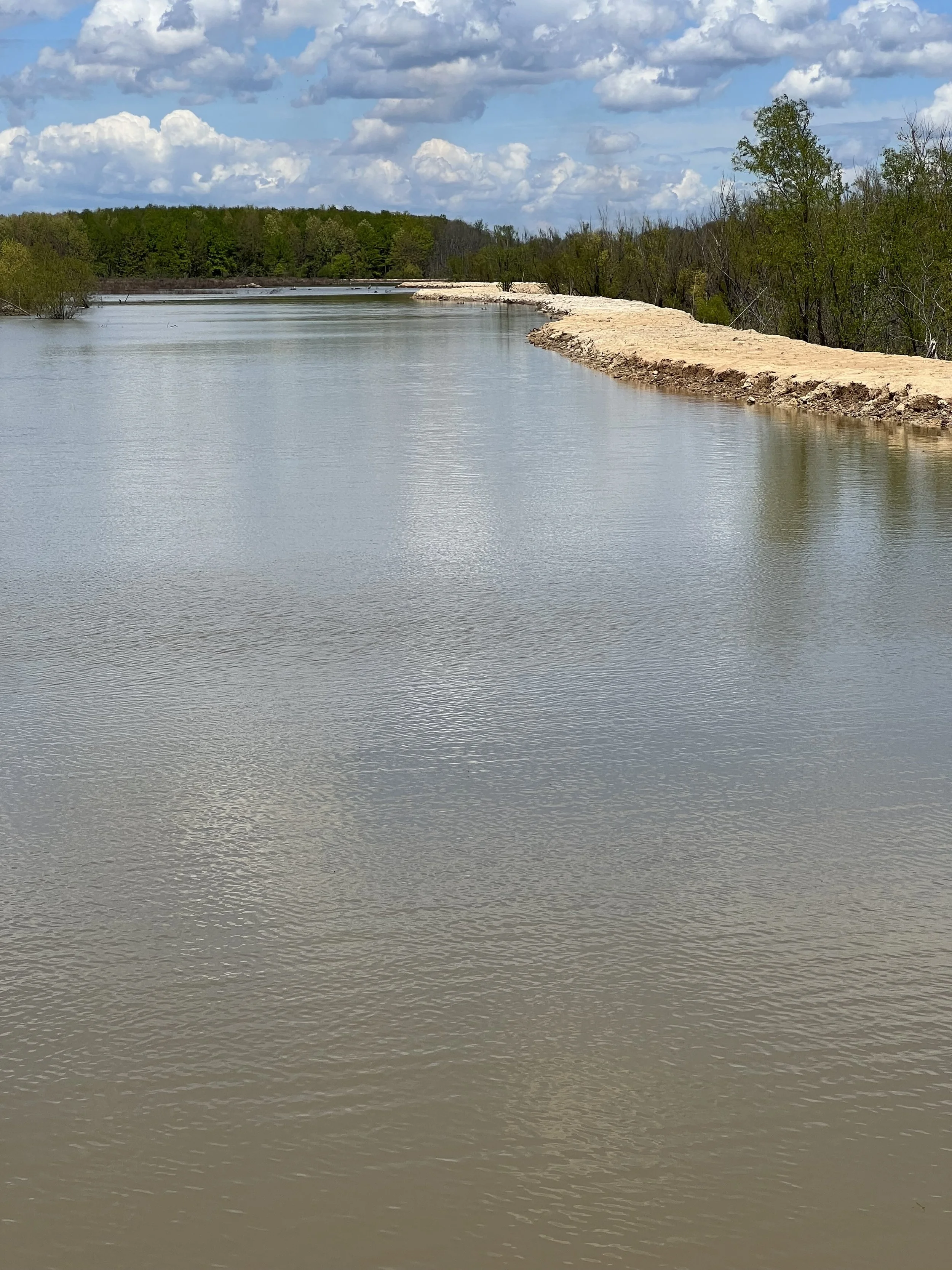 A river with muddy water flowing past a sandy bank, lined with trees under a partly cloudy sky.
