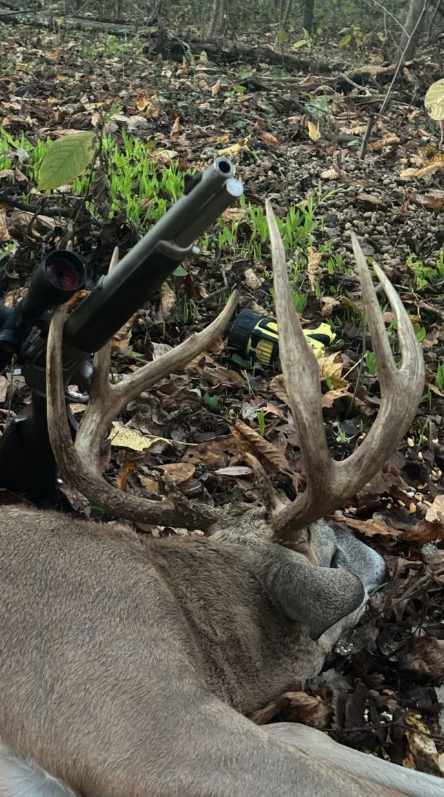 A deer with large antlers lying on the ground in a forest, with hunting gear that includes a rifle and a flashlight placed on its antlers.