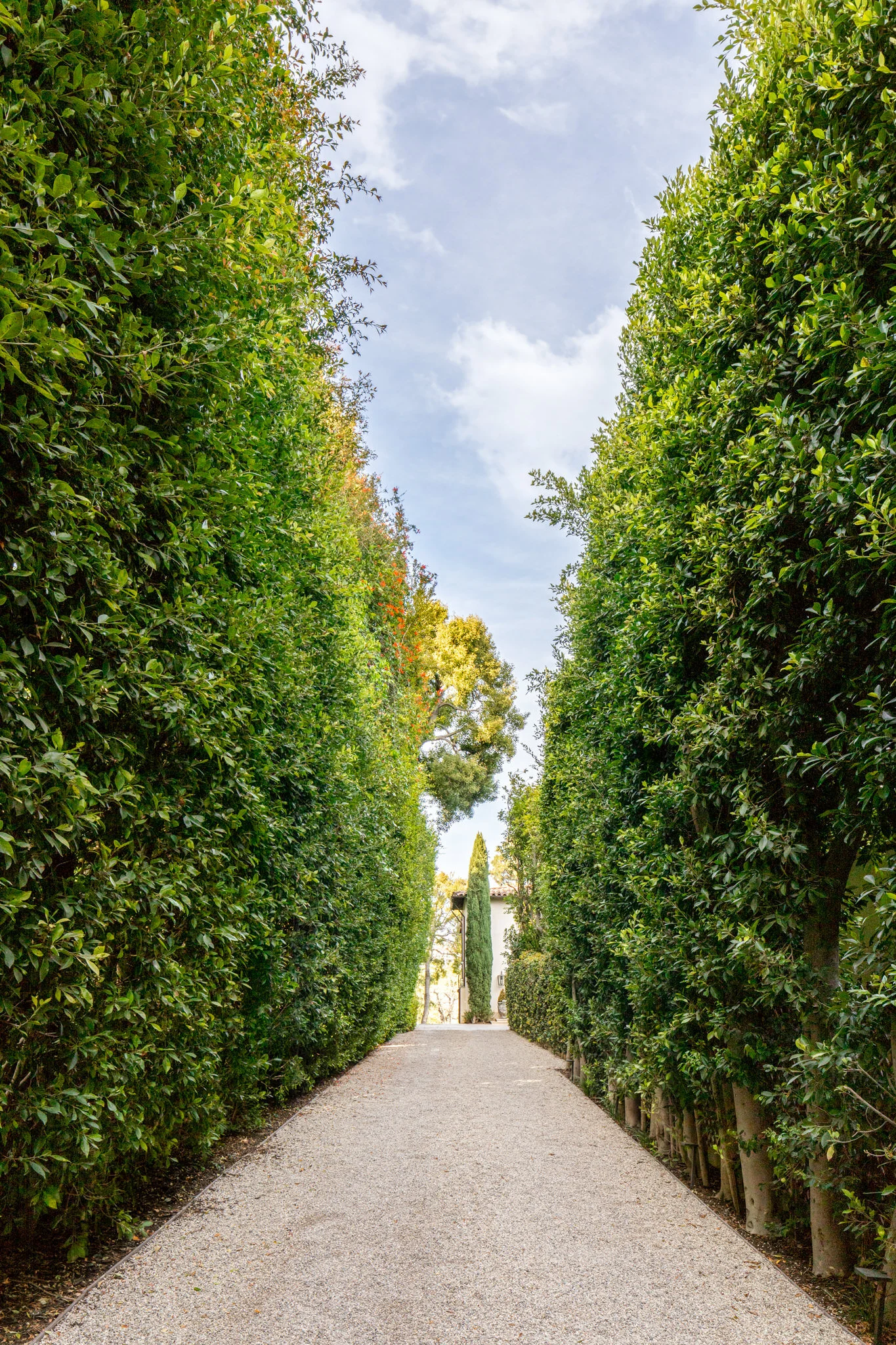 MollyRosePhoto-DMARInteriors-WestLosAngeles-8186-2-Edit.jpg