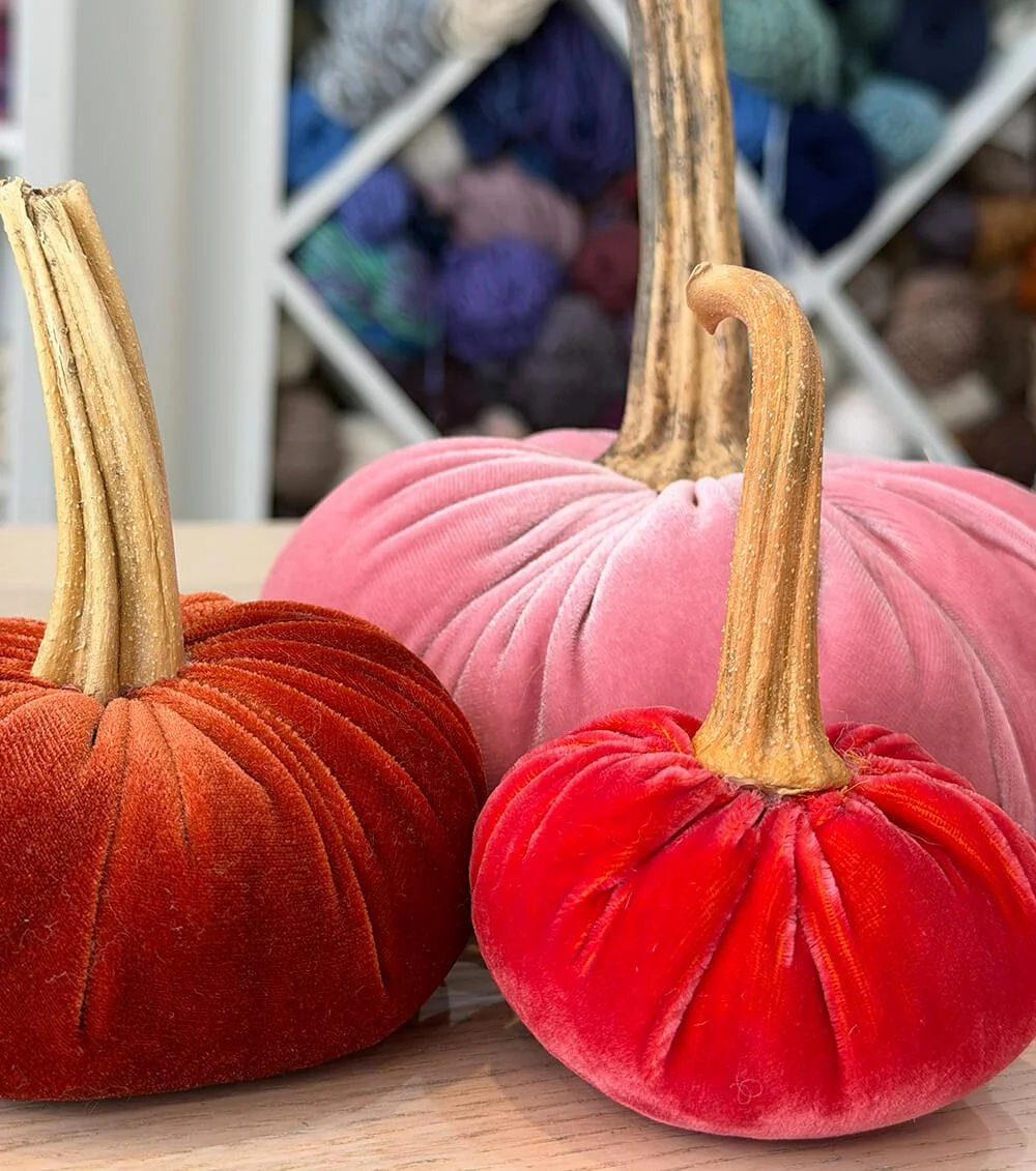 Velvet pumpkin workshop