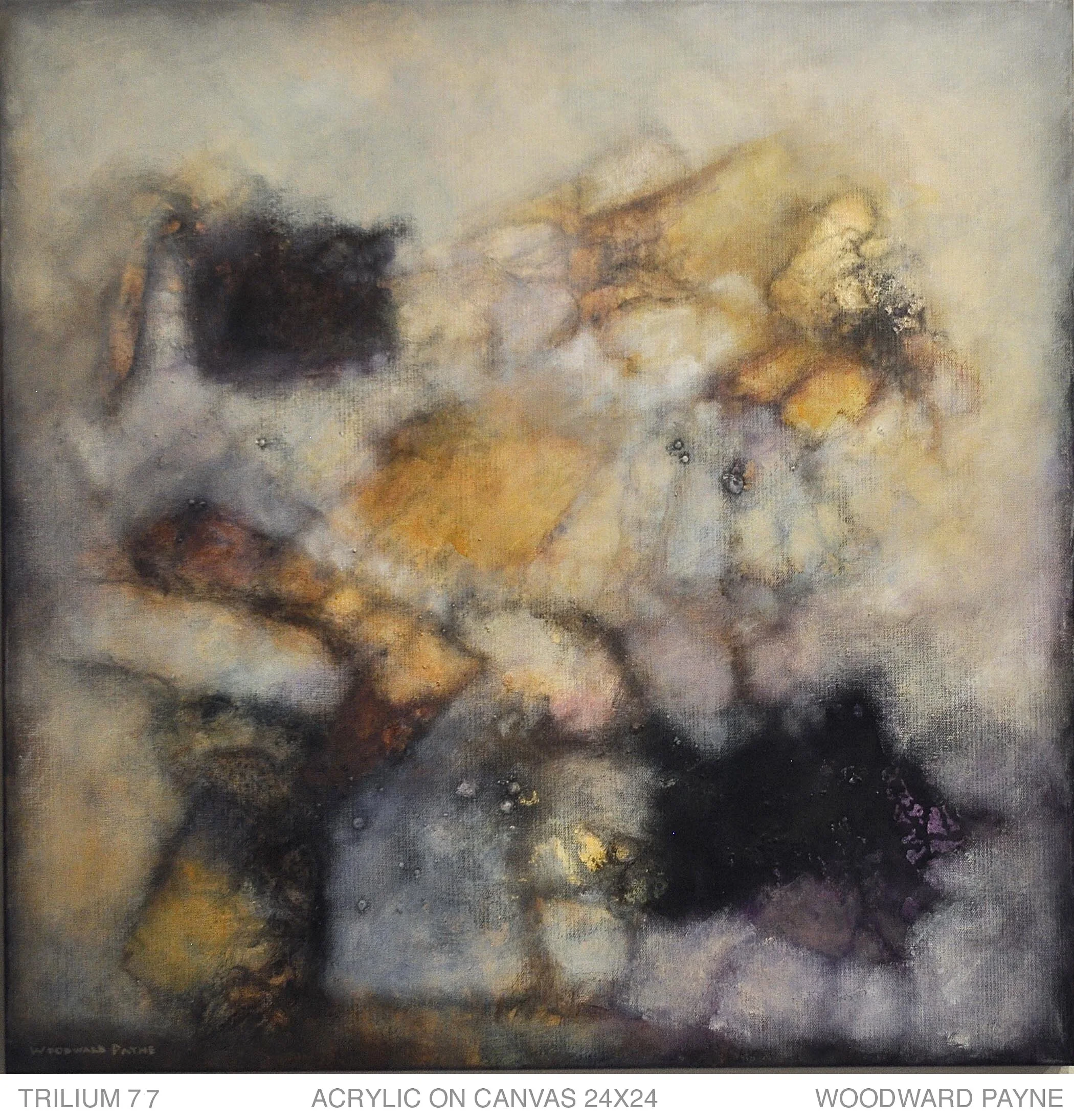 TRILIUM 77 24X24 acrylic.jpg