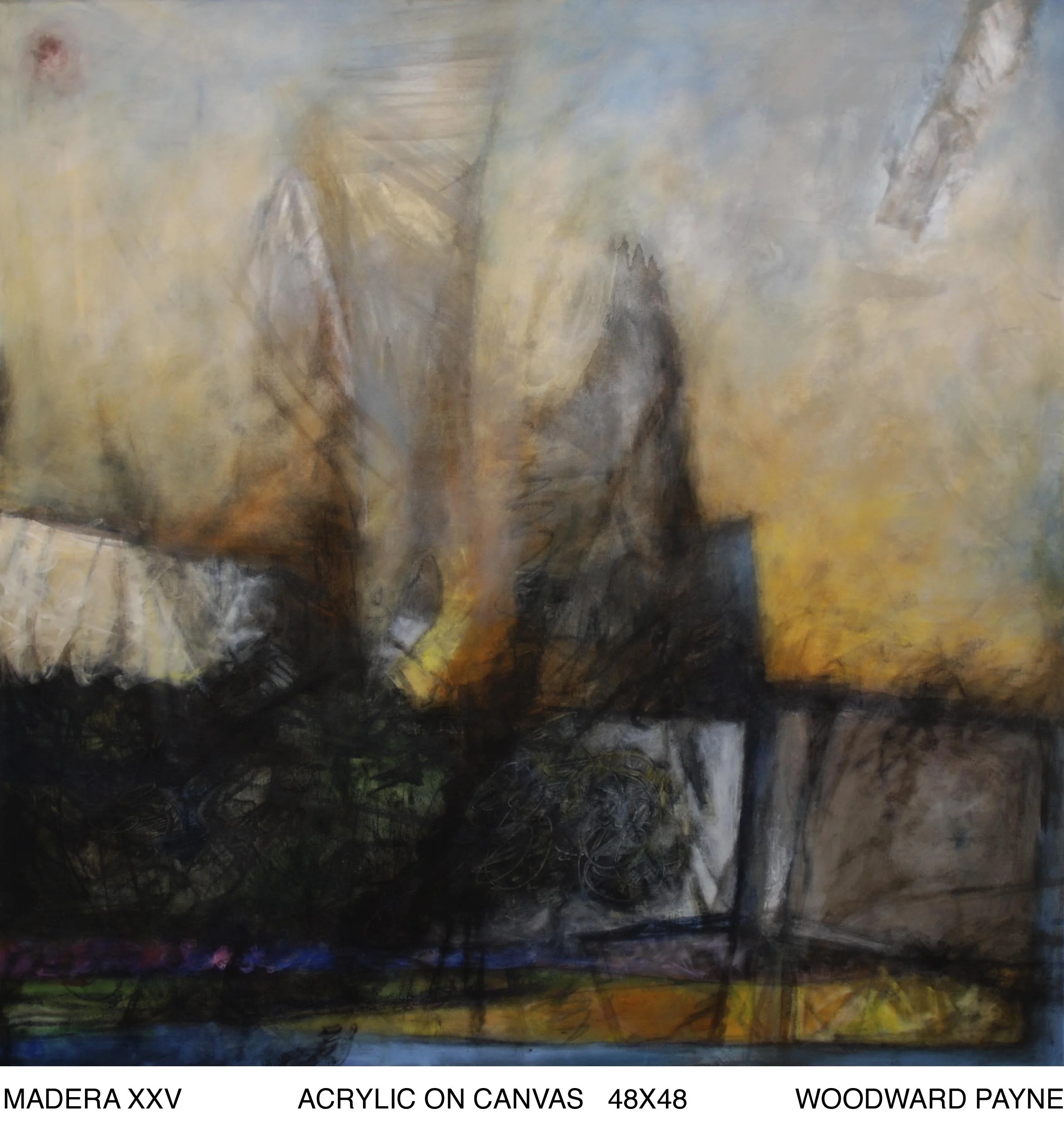 MADERA XXV 48X48 acrylic on canvas_2_2.jpg