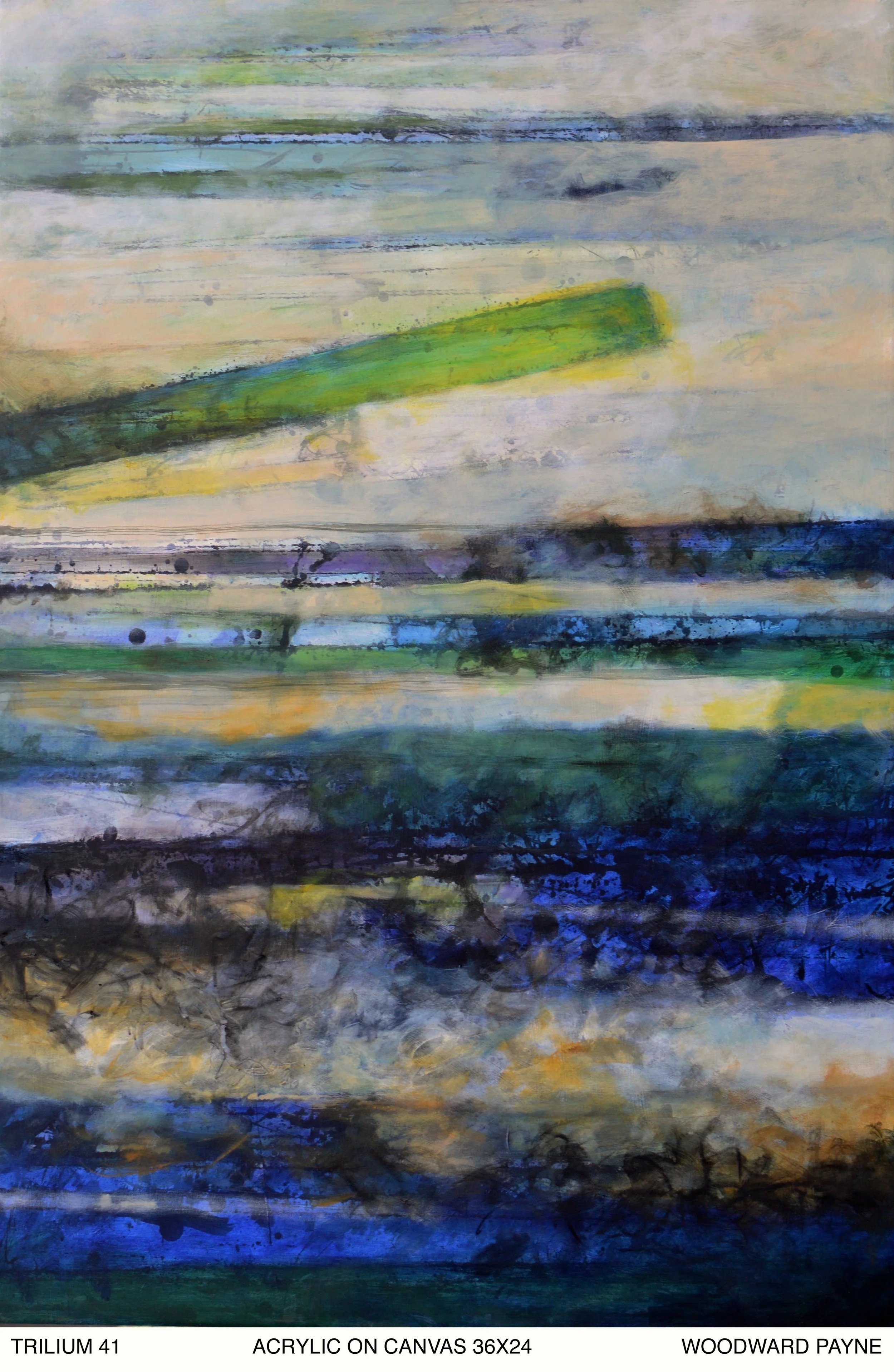 TRILIUM 41, 36X24.jpg