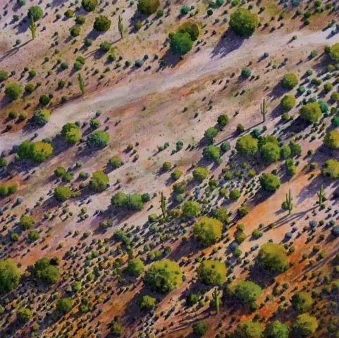 Arizona Desert Aerial, watercolor 43x43