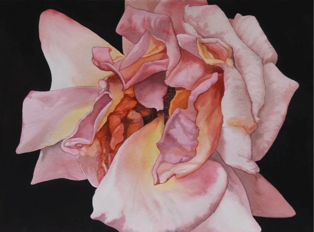 Single Rose I, watercolor 22x30