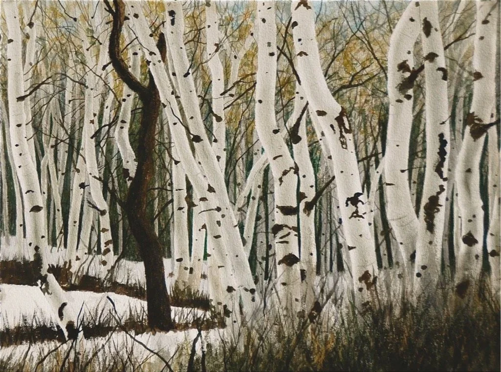 Winter Woods, watercolor 22x30