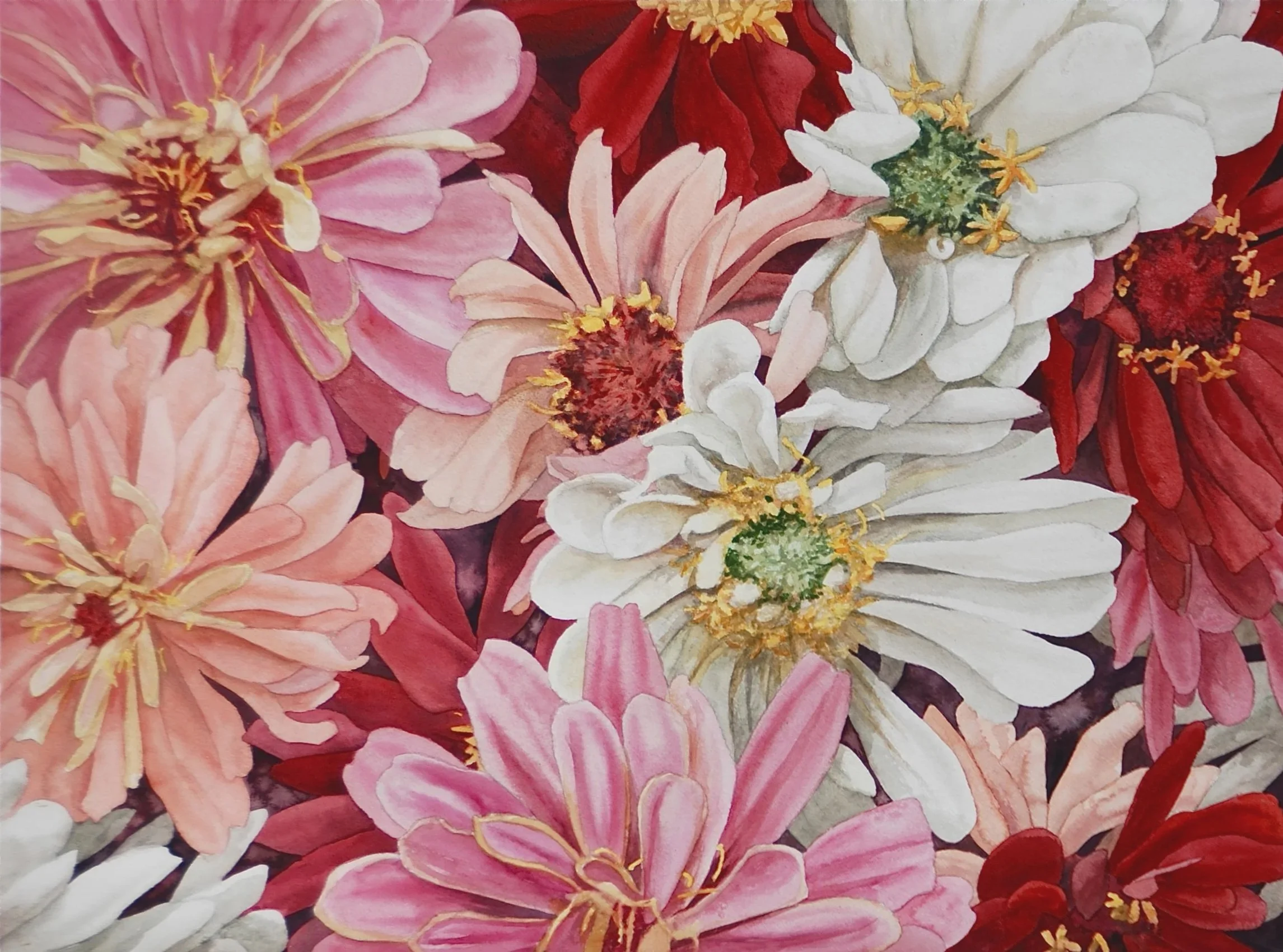 Una's Zinnias, watercolor 22x30