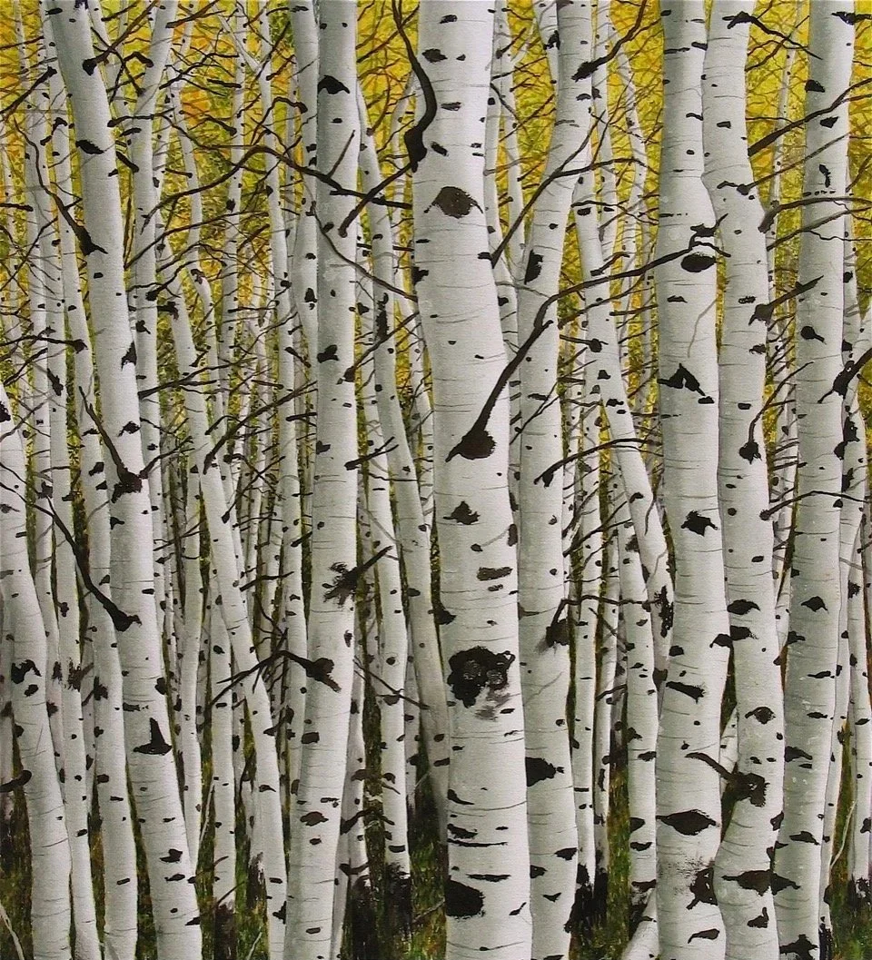 OCTOBER ASPEN 32X30 WATERCOLOR.jpg