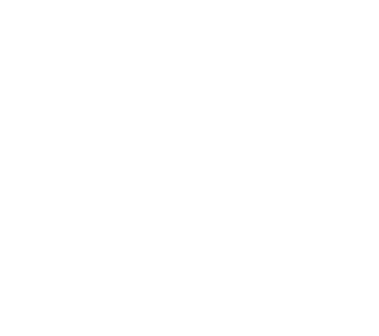 John Guilyard | The Trickiest Pony