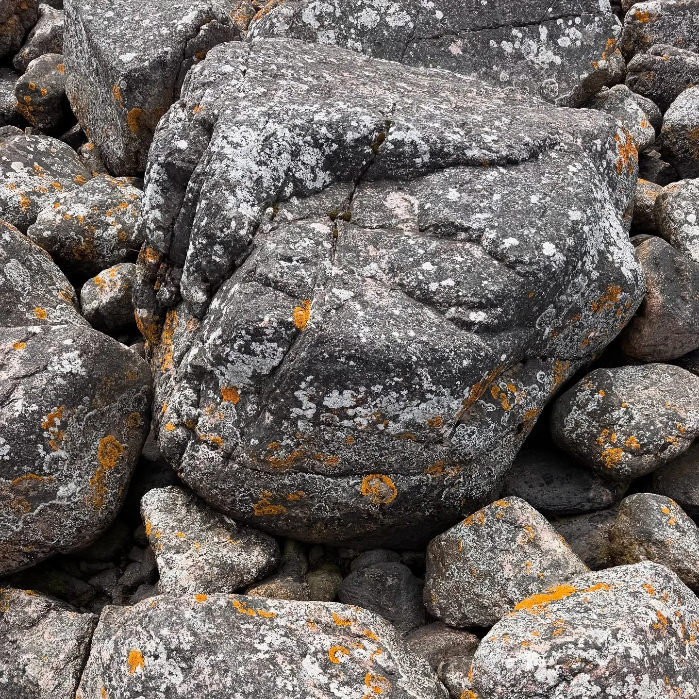 The wisdom in the rocks spoke to me, not in words but in vibrational tones that resonated with a part of me that recognized his essence in my deep breaths. 
The wisdom that emanates is so simple. The reminders that are scattered throughout nature fo